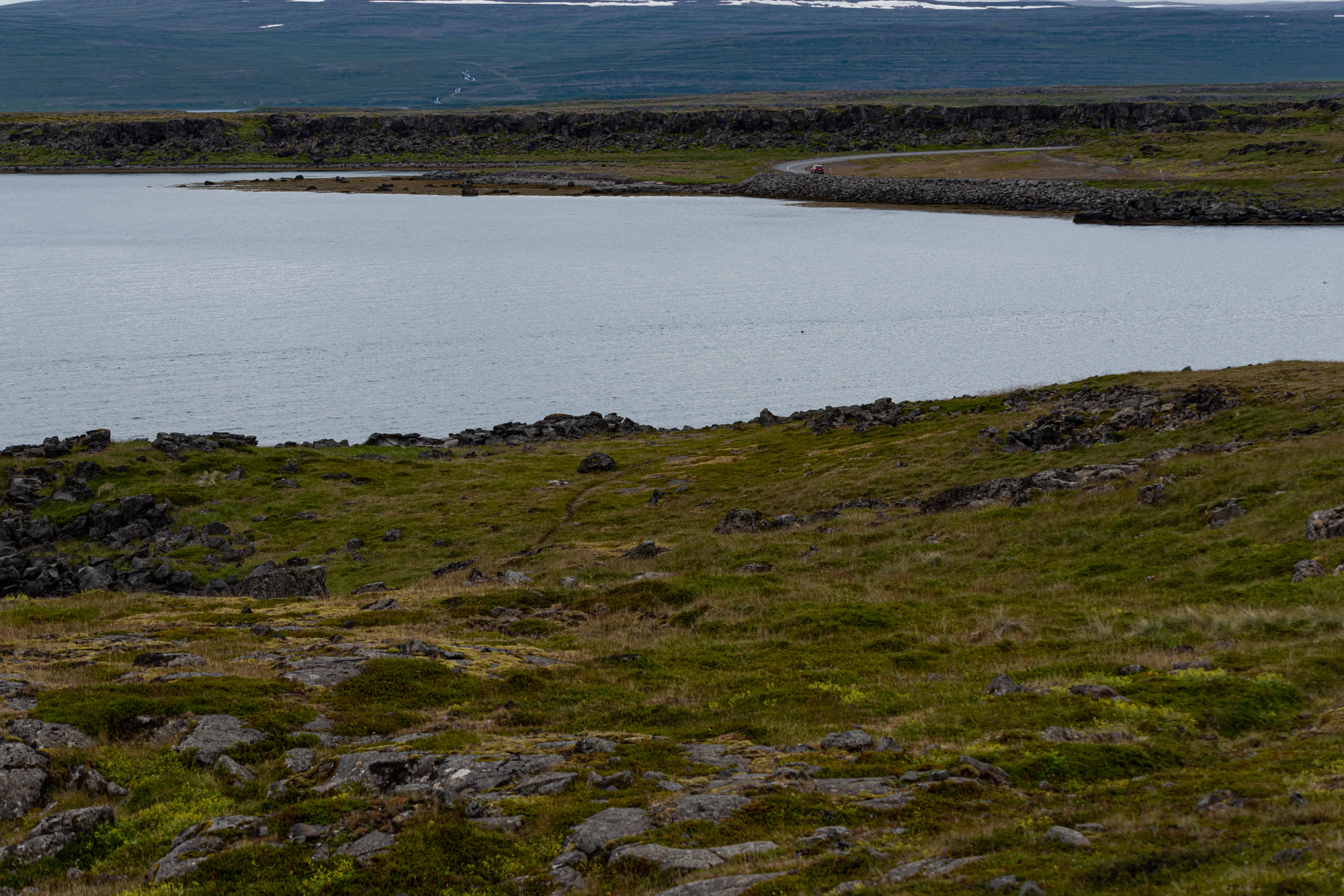 250 — Скачать