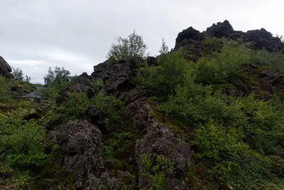 886 — Скачать