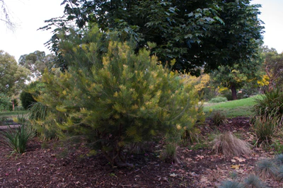 159 — Скачать