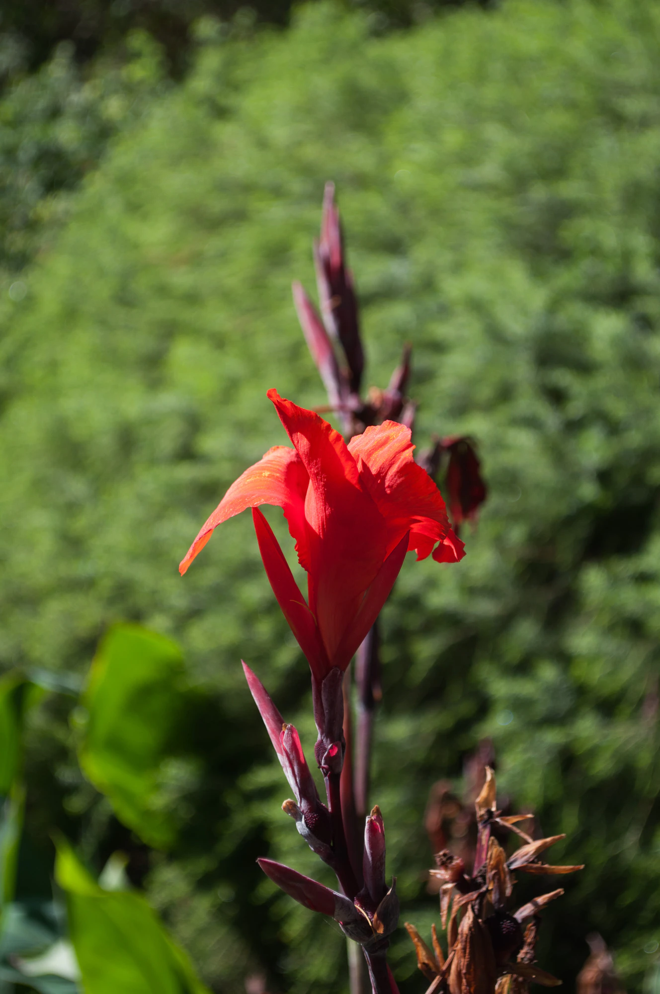 167 — Скачать