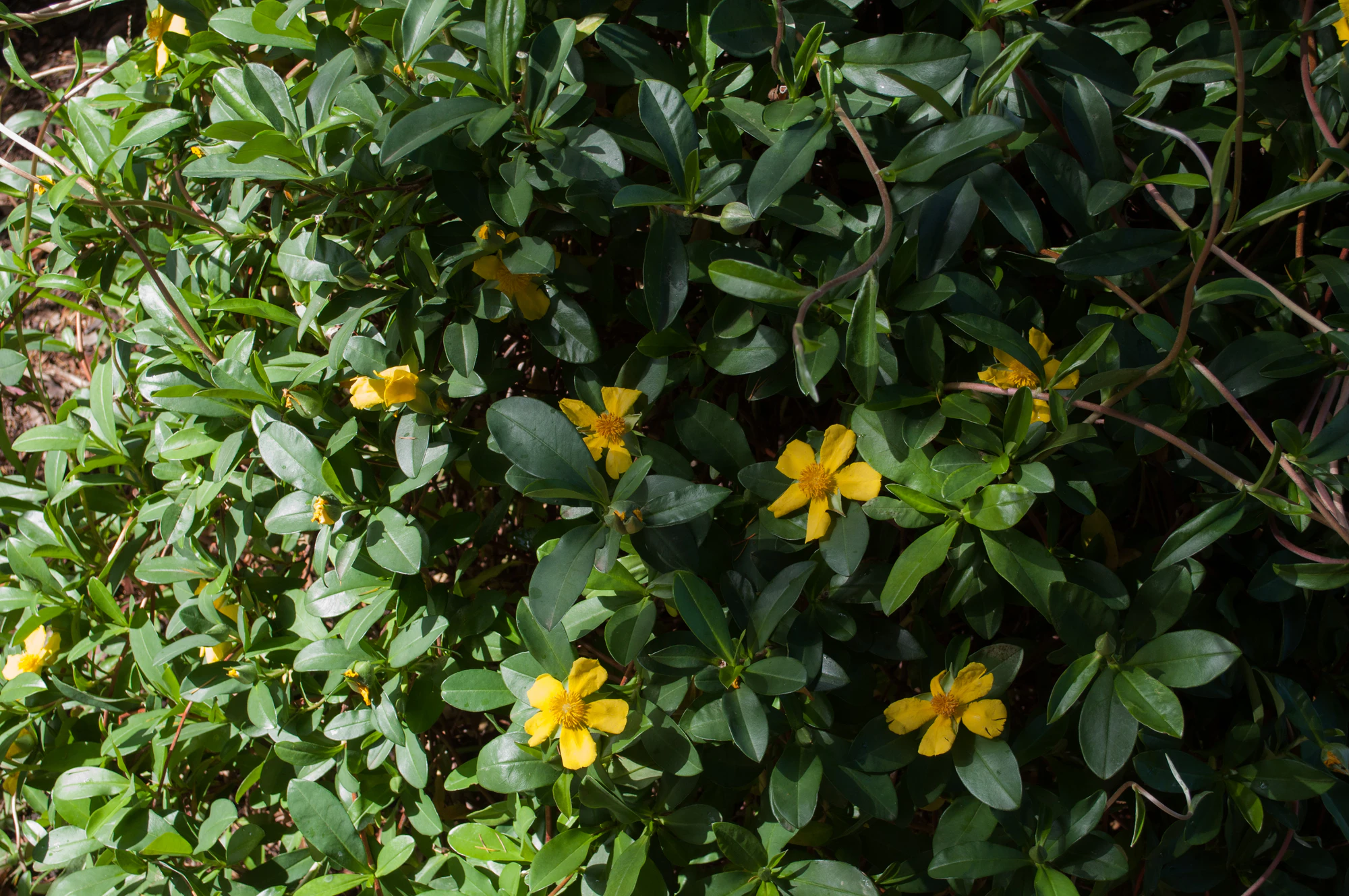 168 — Скачать