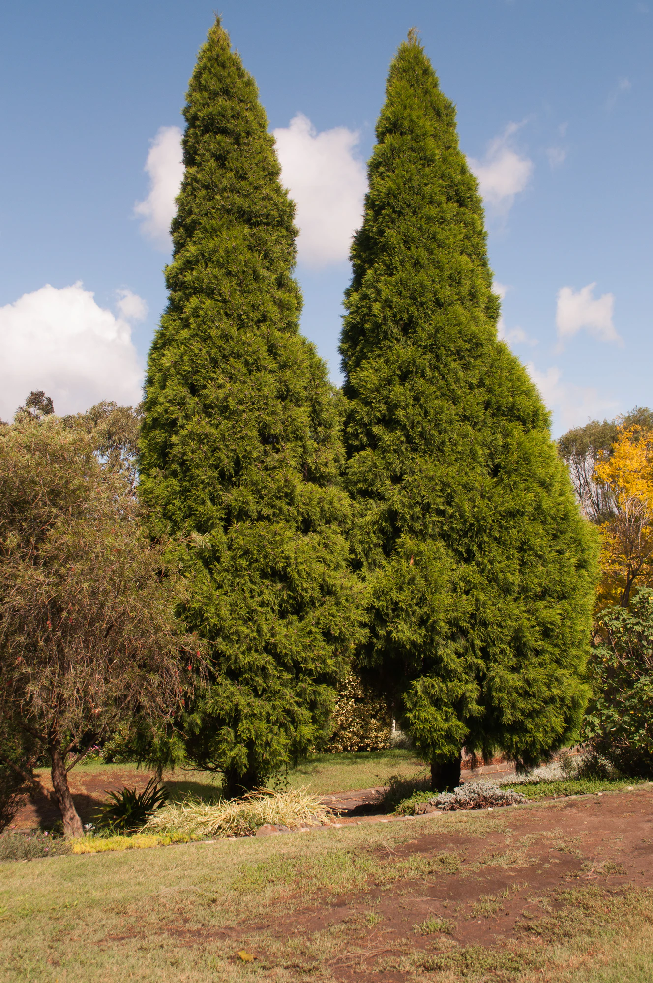 170 — Скачать