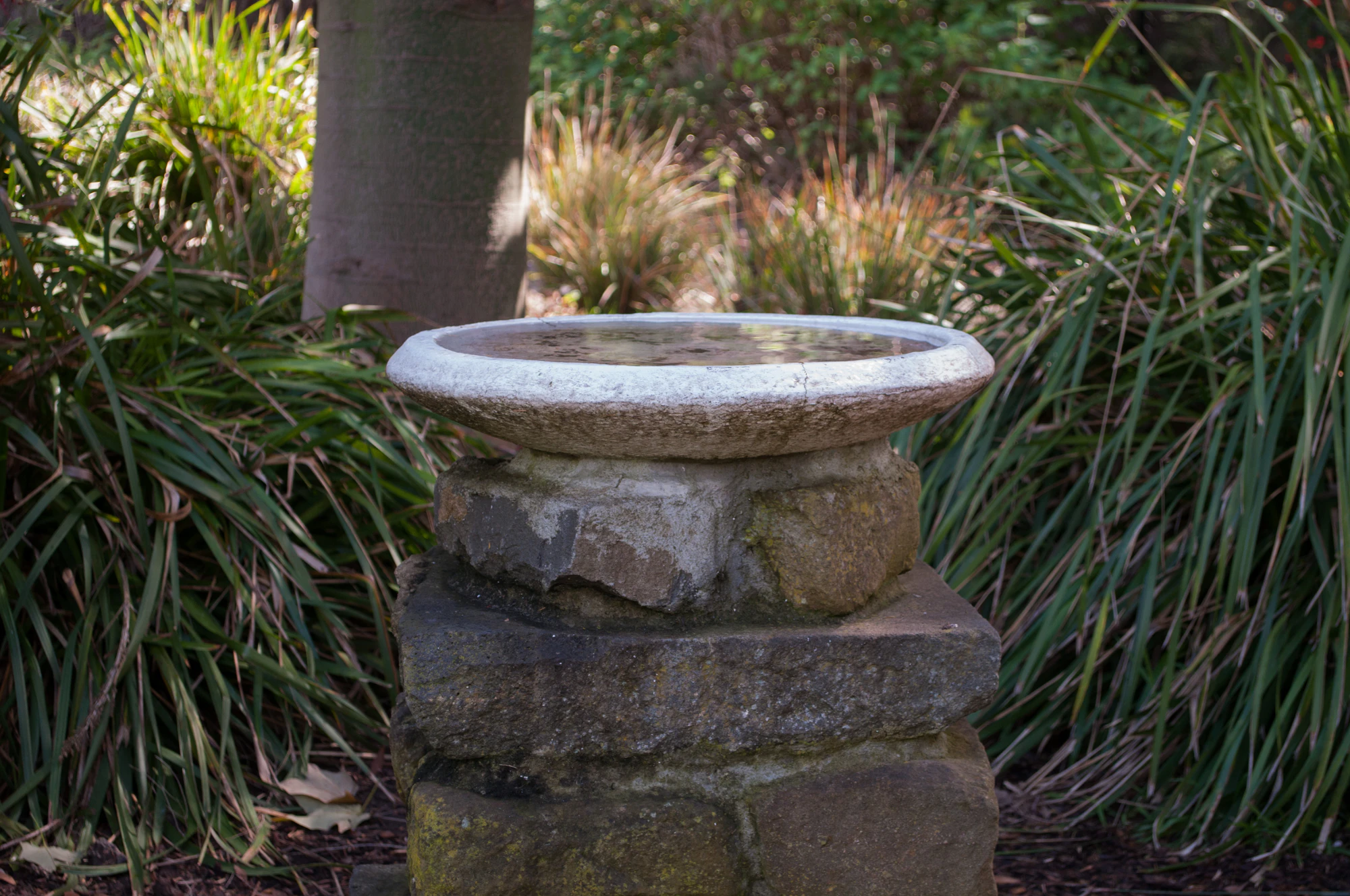 173 — Скачать