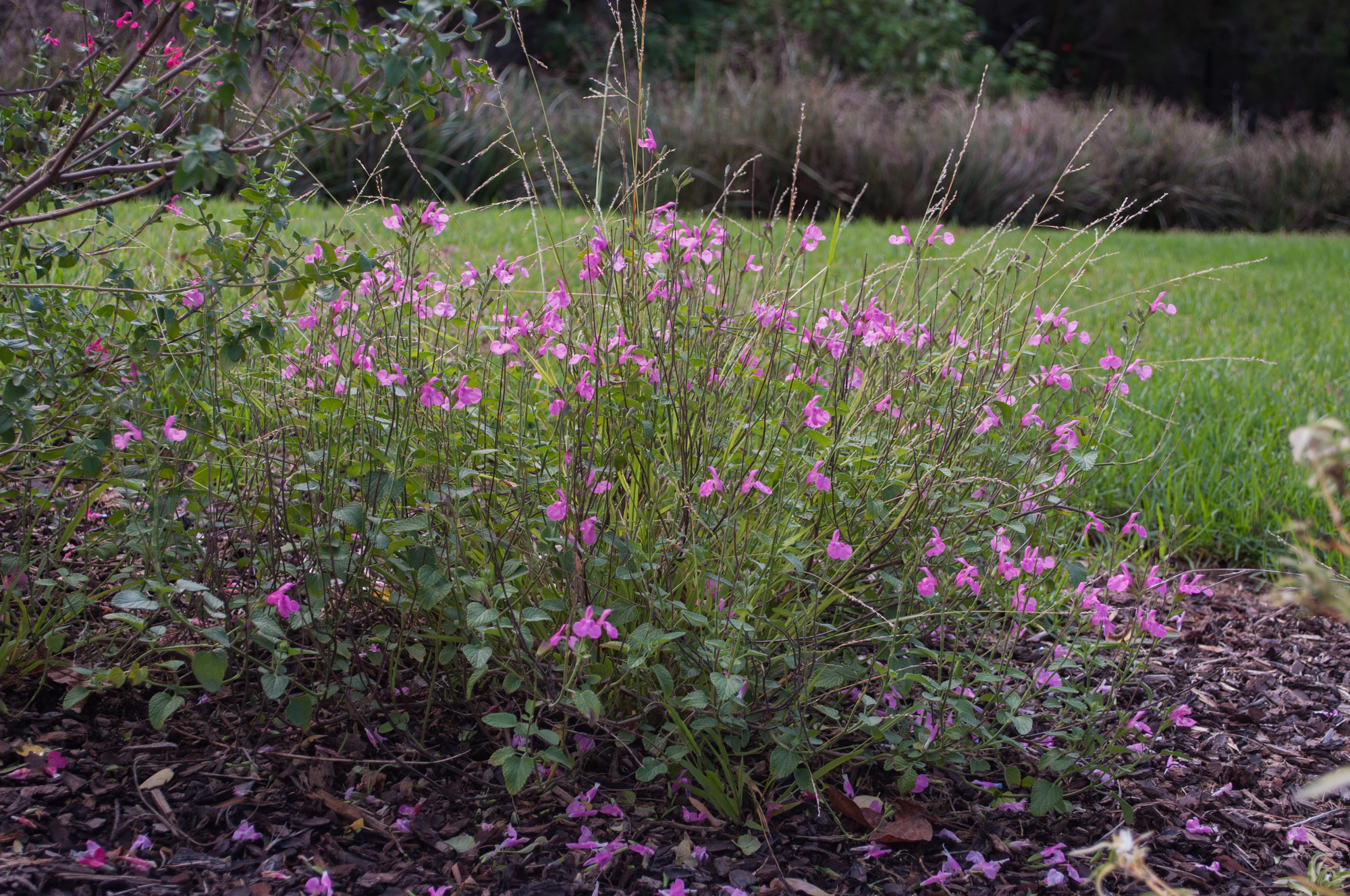 181 — Скачать