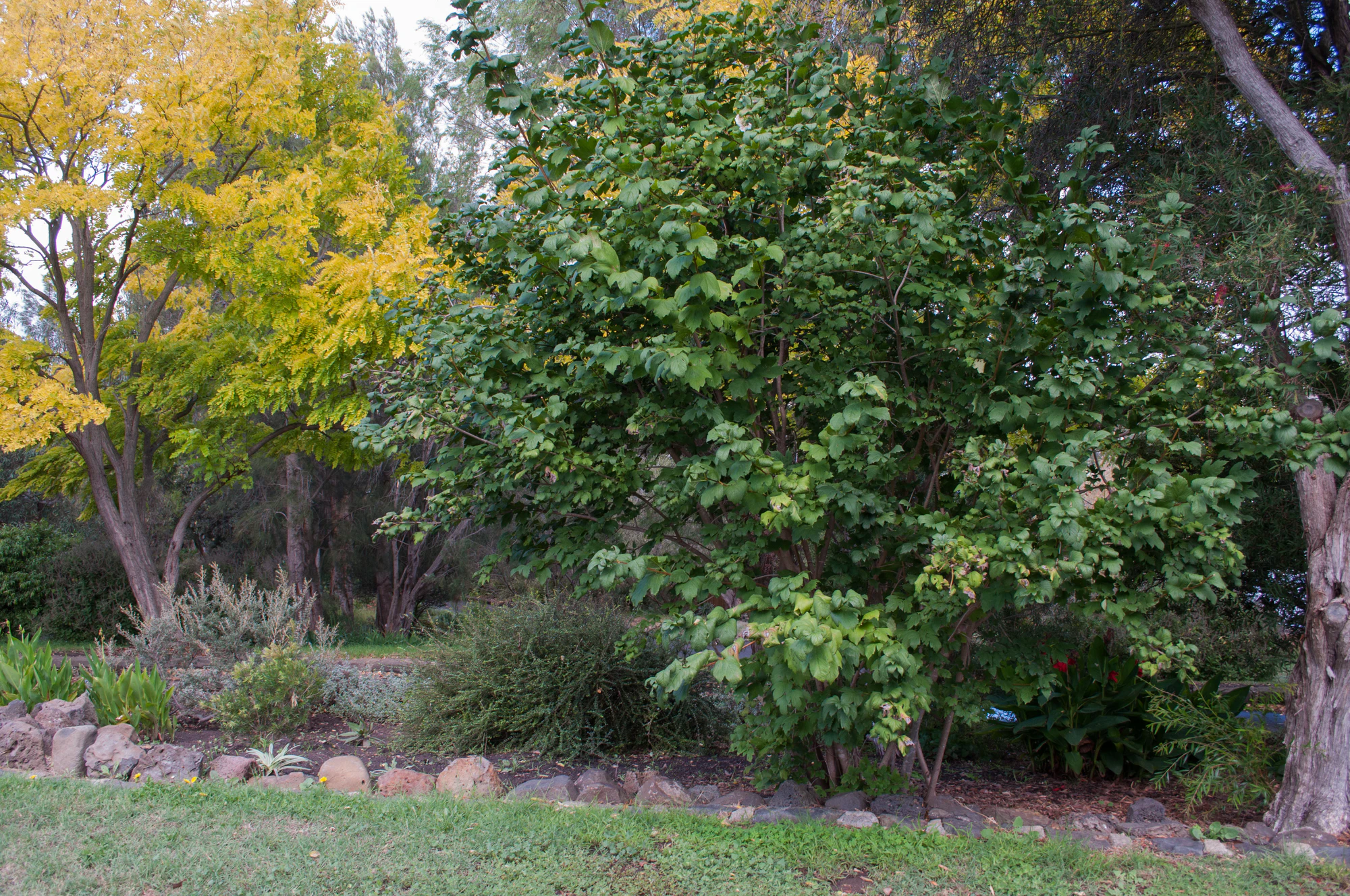 189 — Скачать