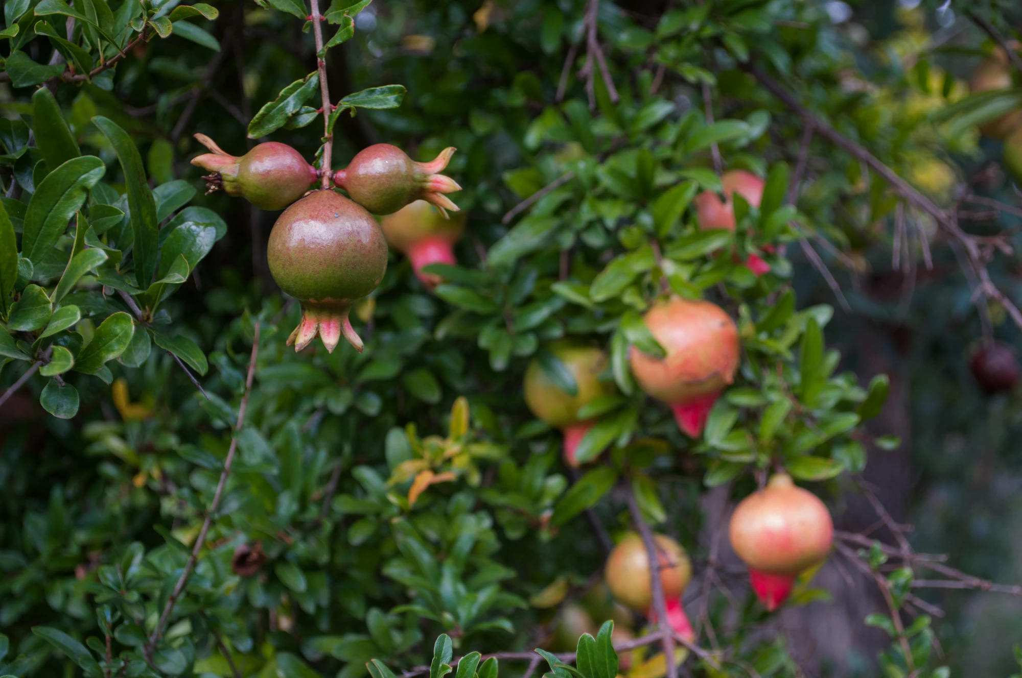 194 — Скачать