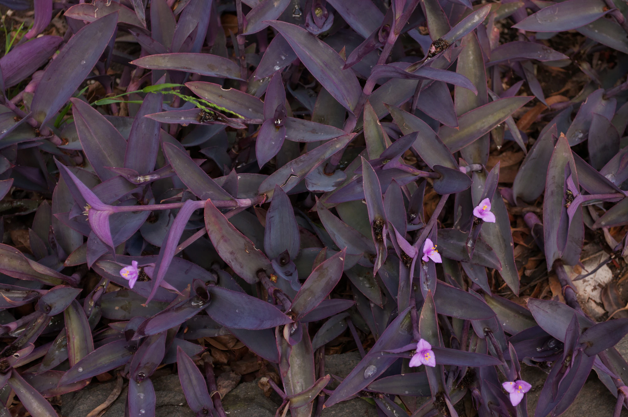 195 — Скачать