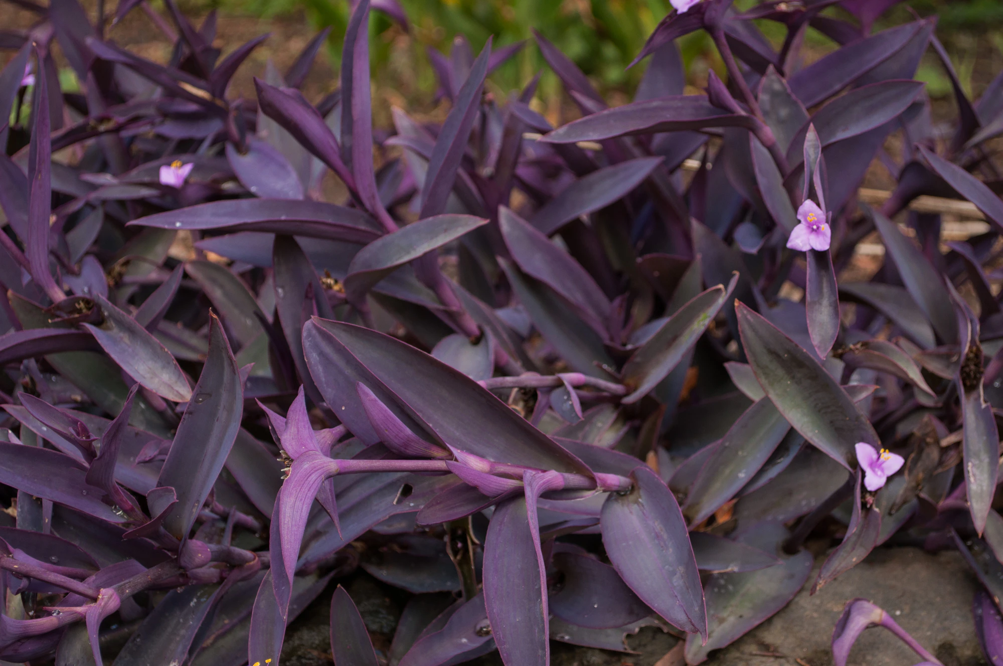 197 — Скачать