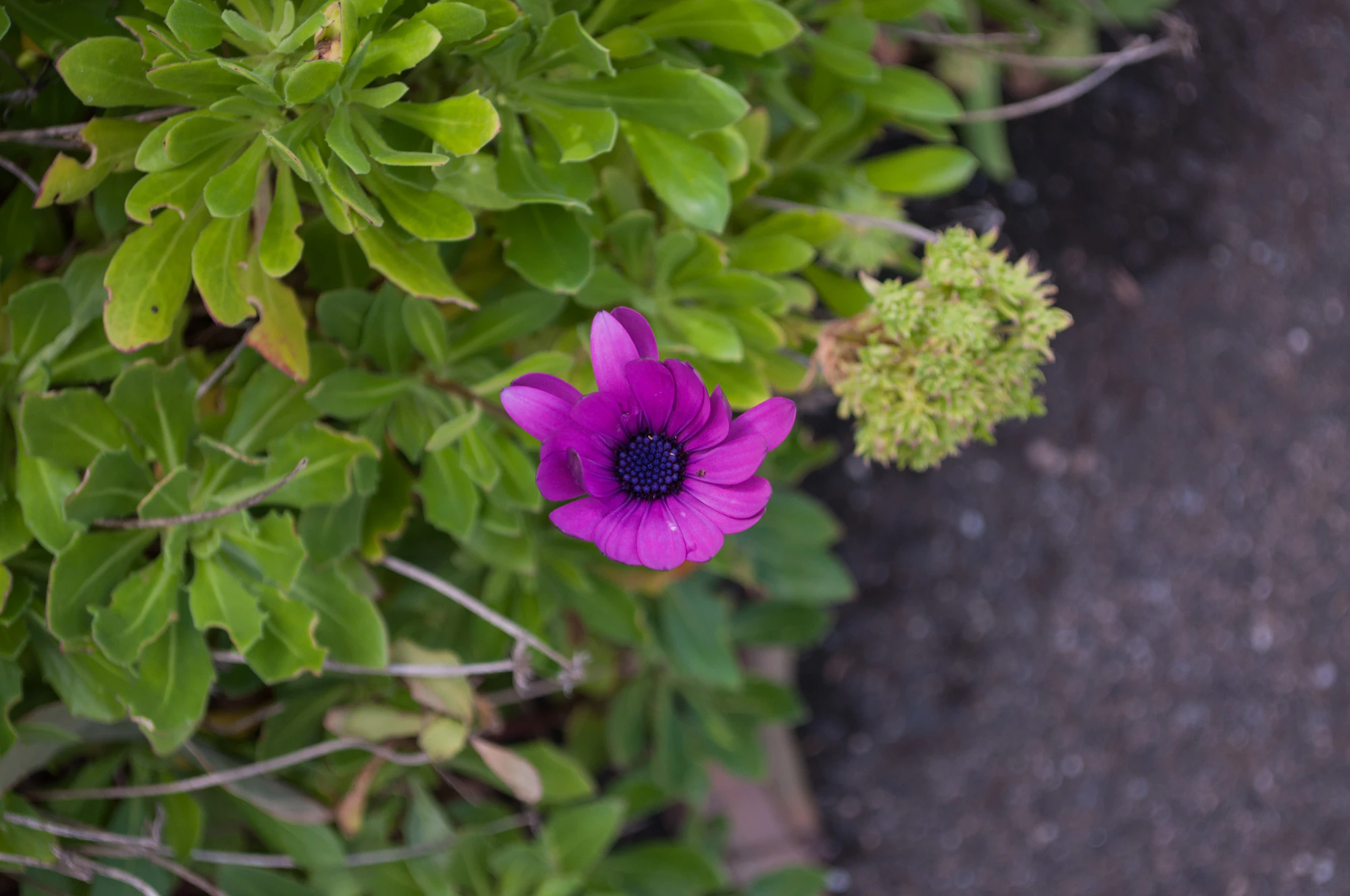 199 — Скачать