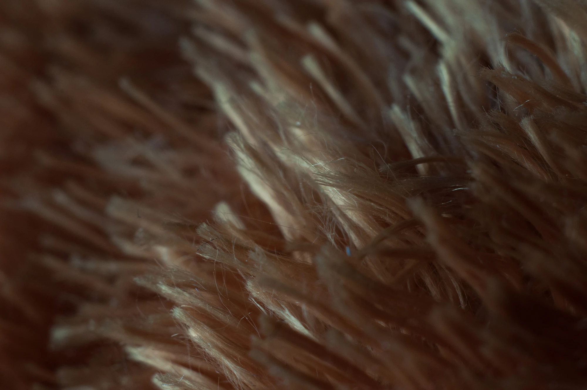 067 — Скачать