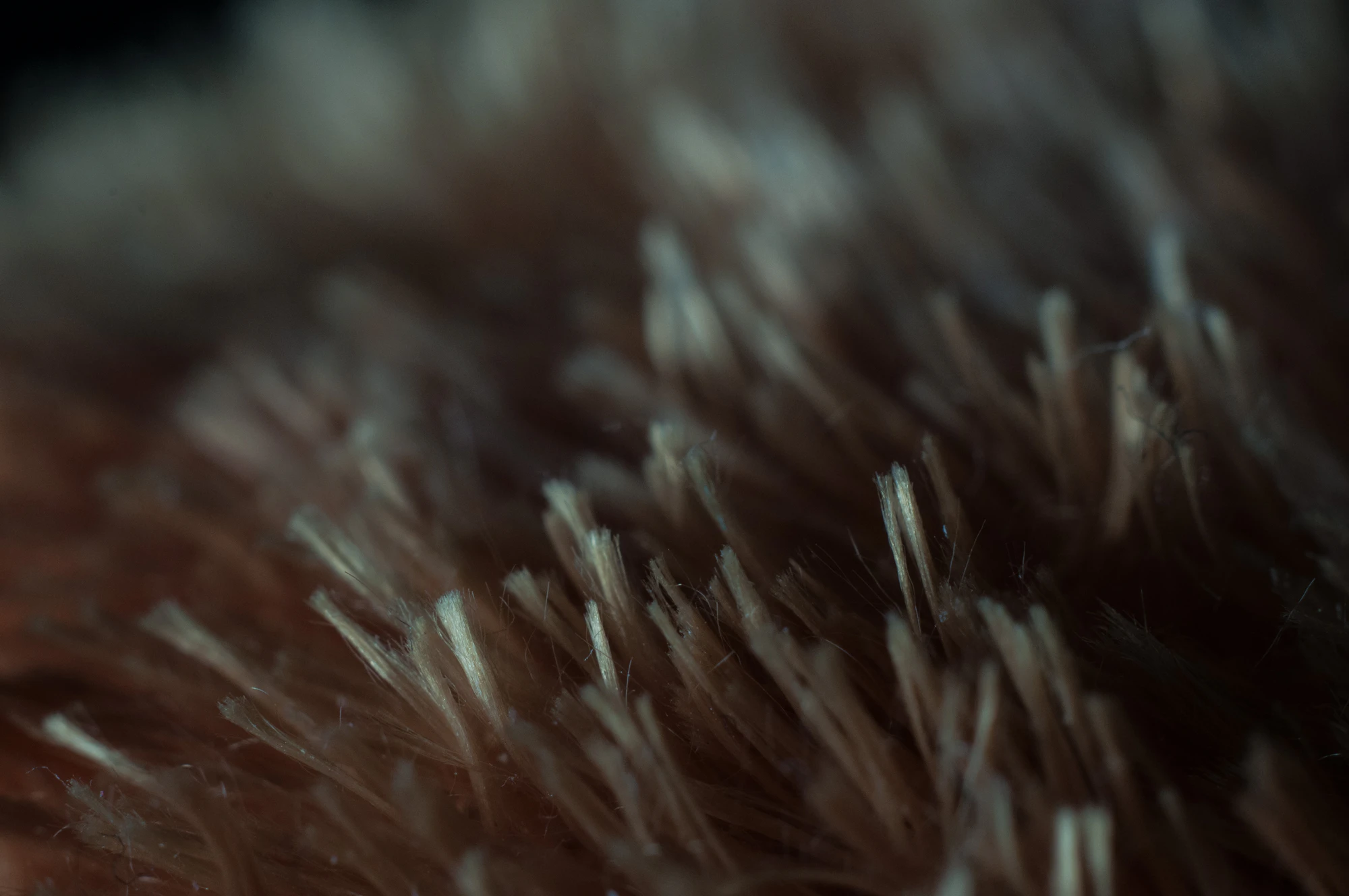 069 — Скачать