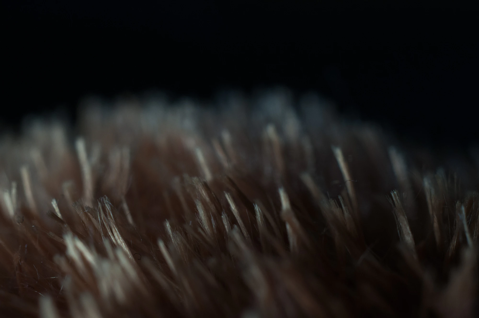 070 — Скачать