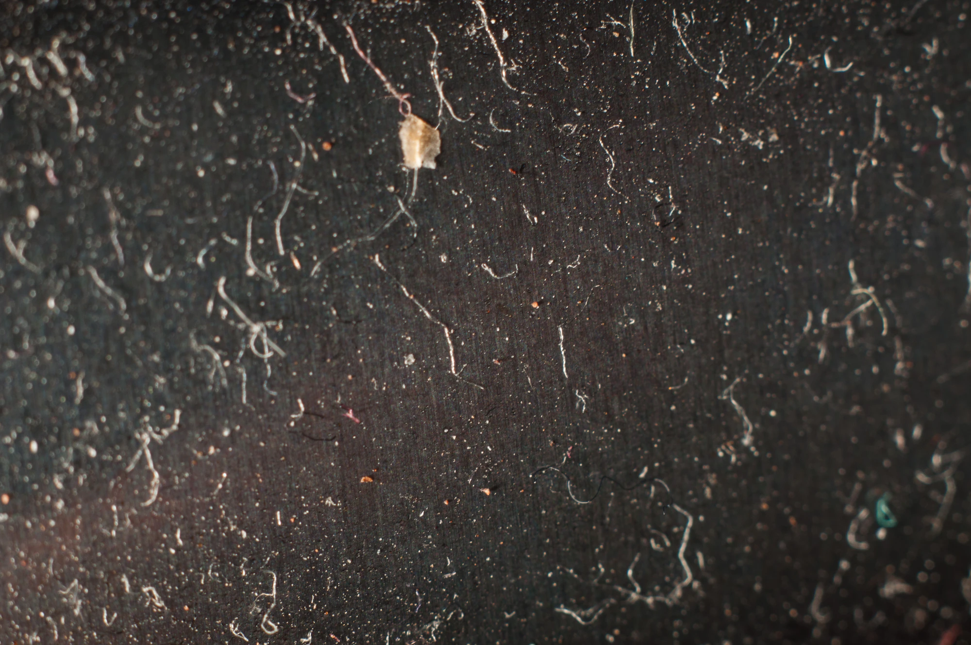 096 — Скачать