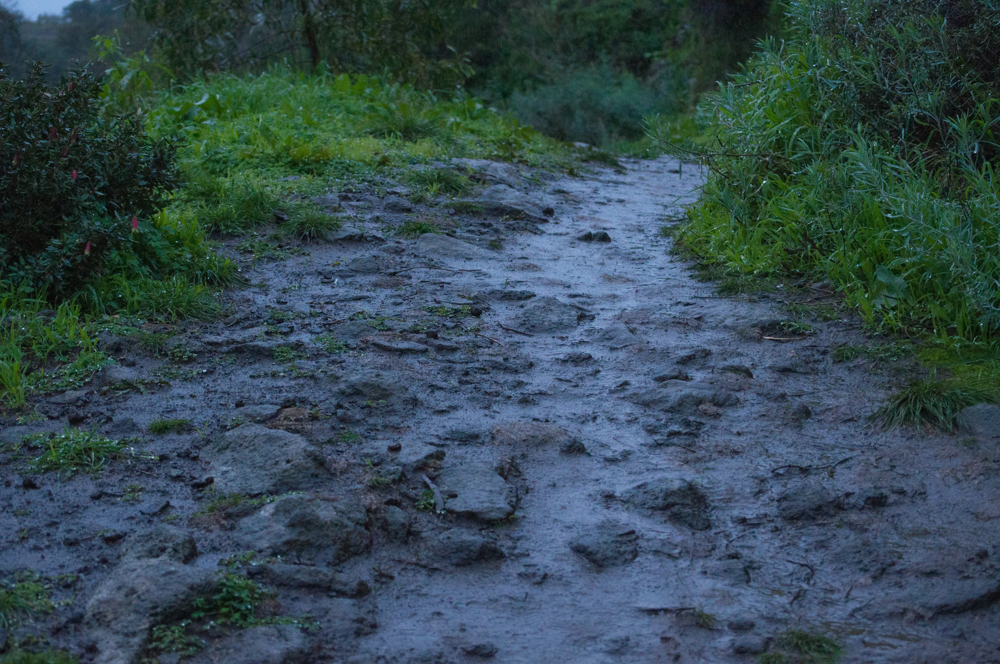108 — Descargar