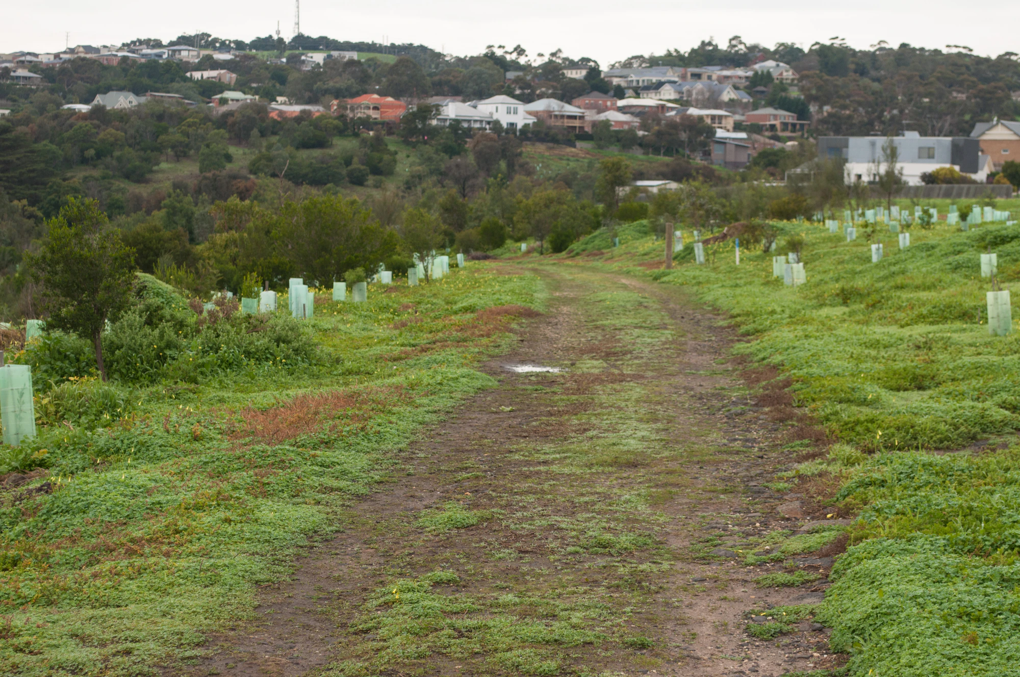 245 — Скачать