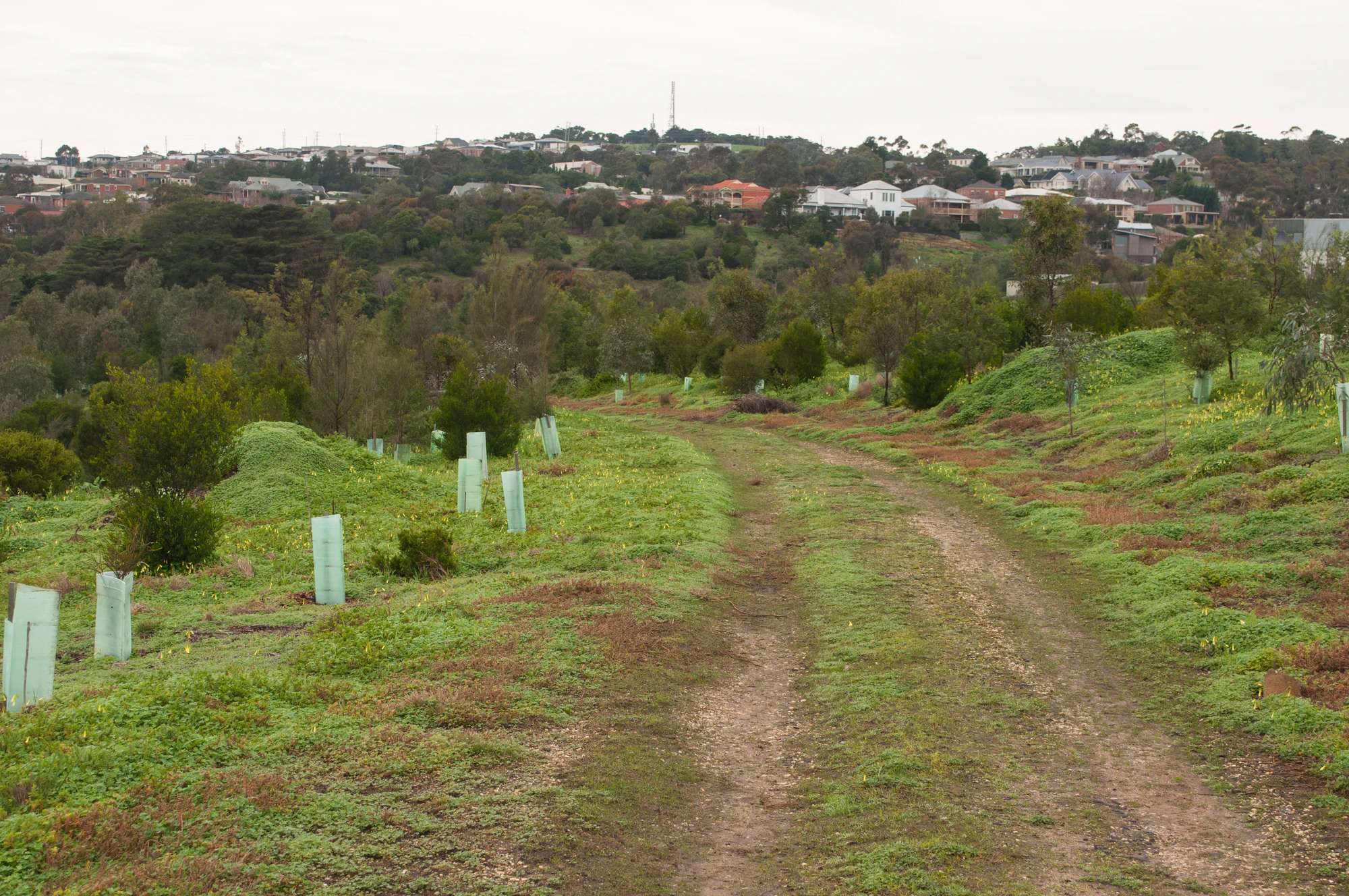 247 — Скачать