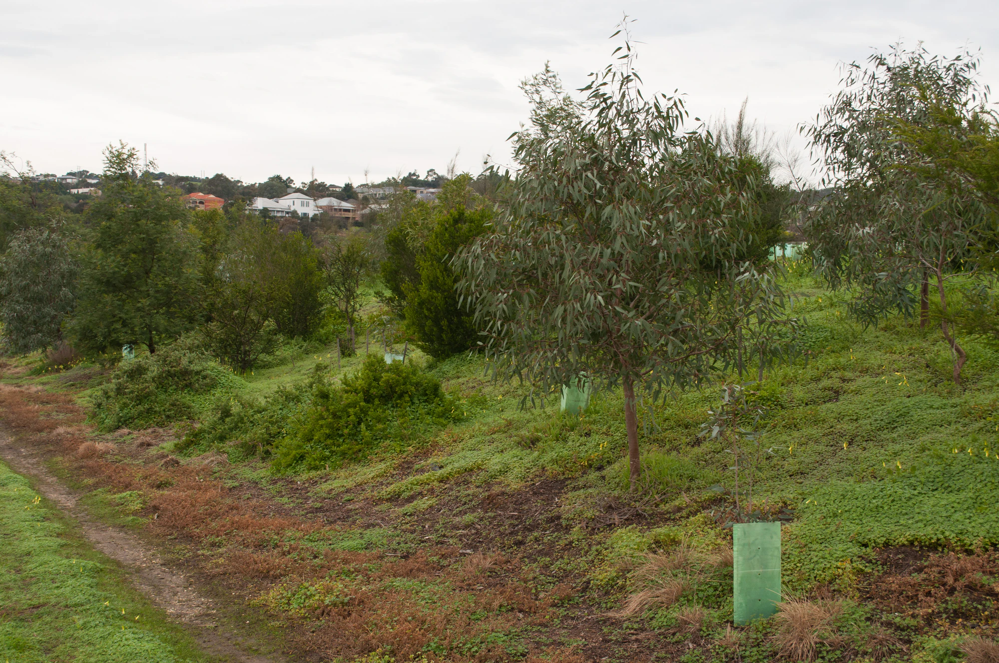 250 — Скачать