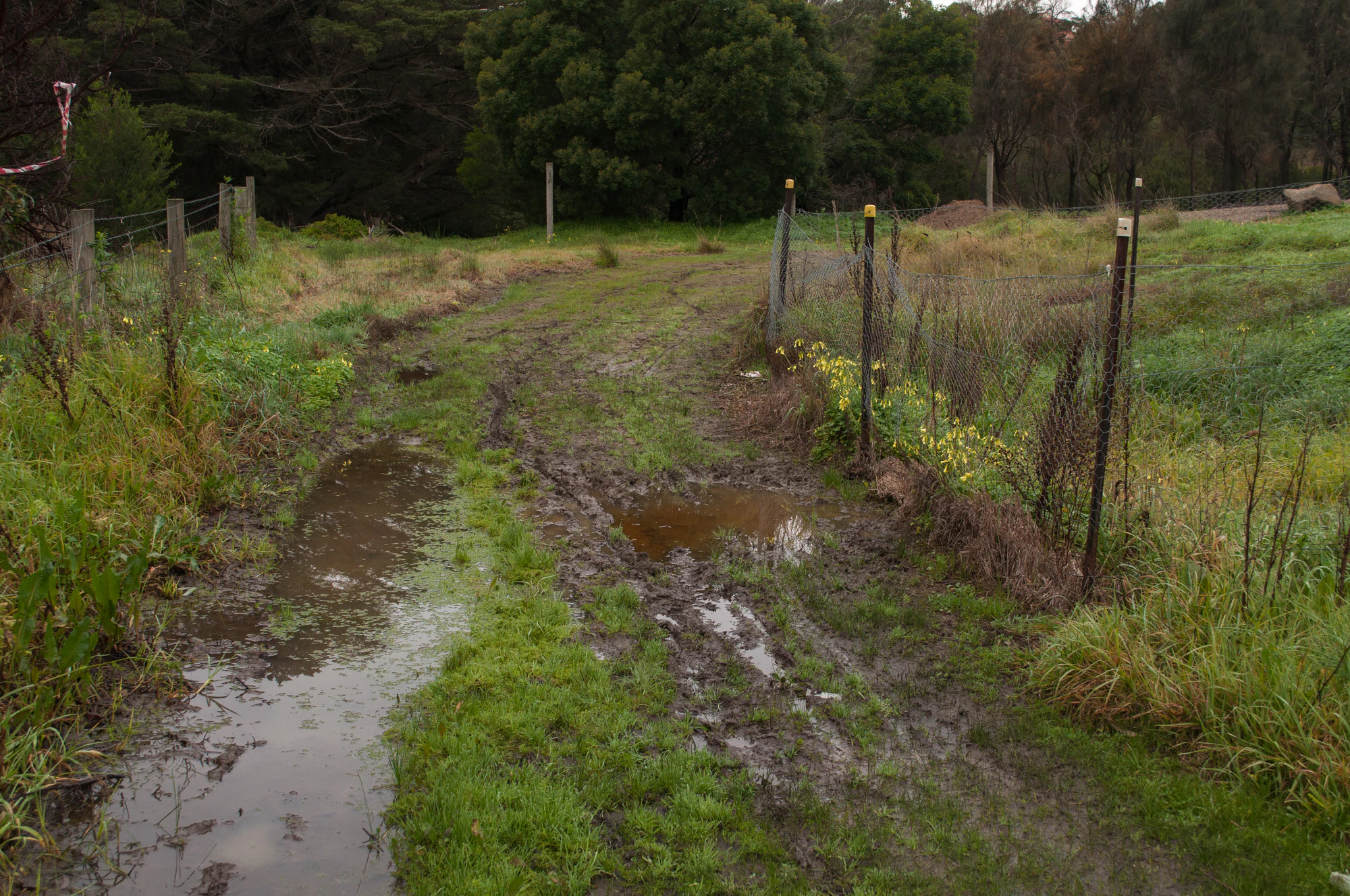 251 — Скачать