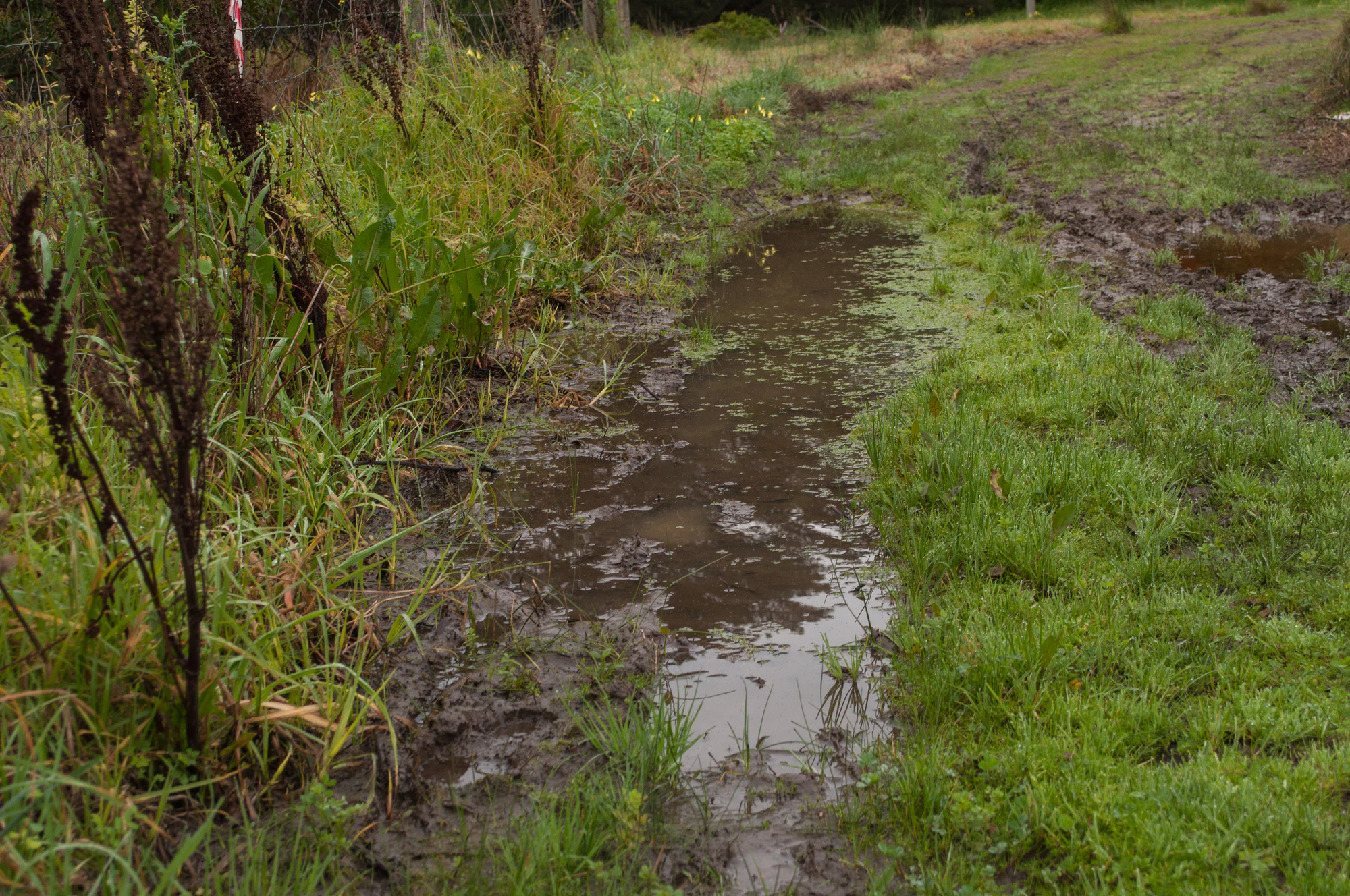 252 — Скачать