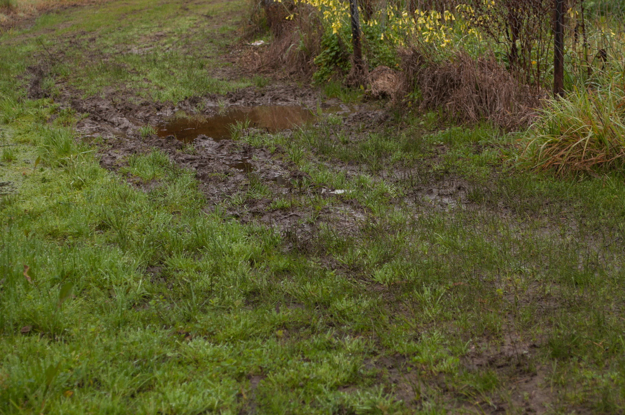 254 — Скачать