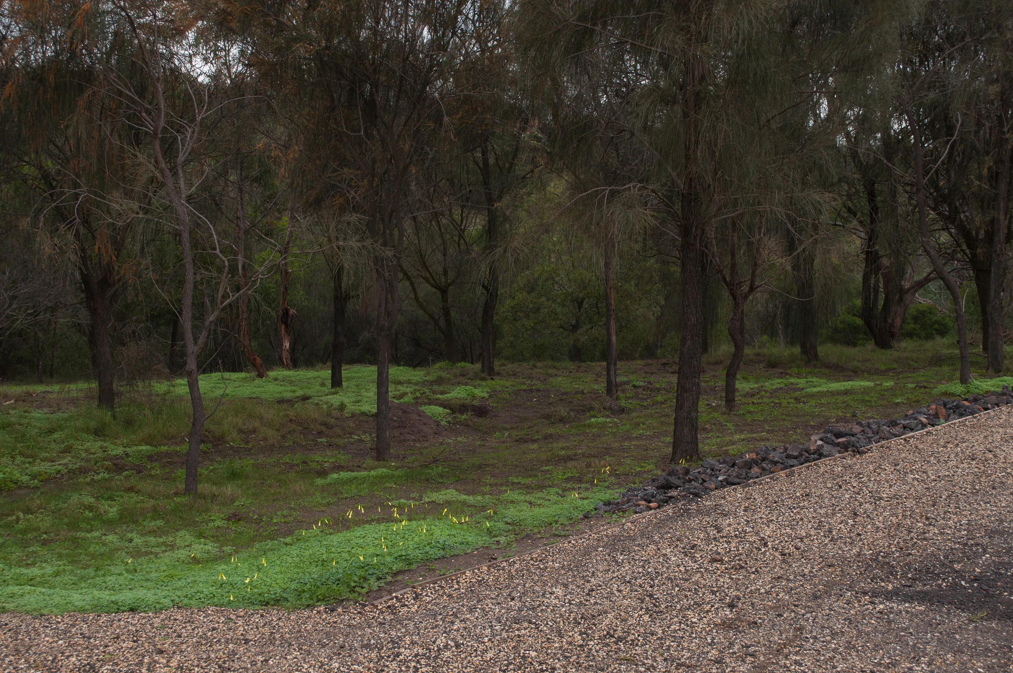 261 — Скачать