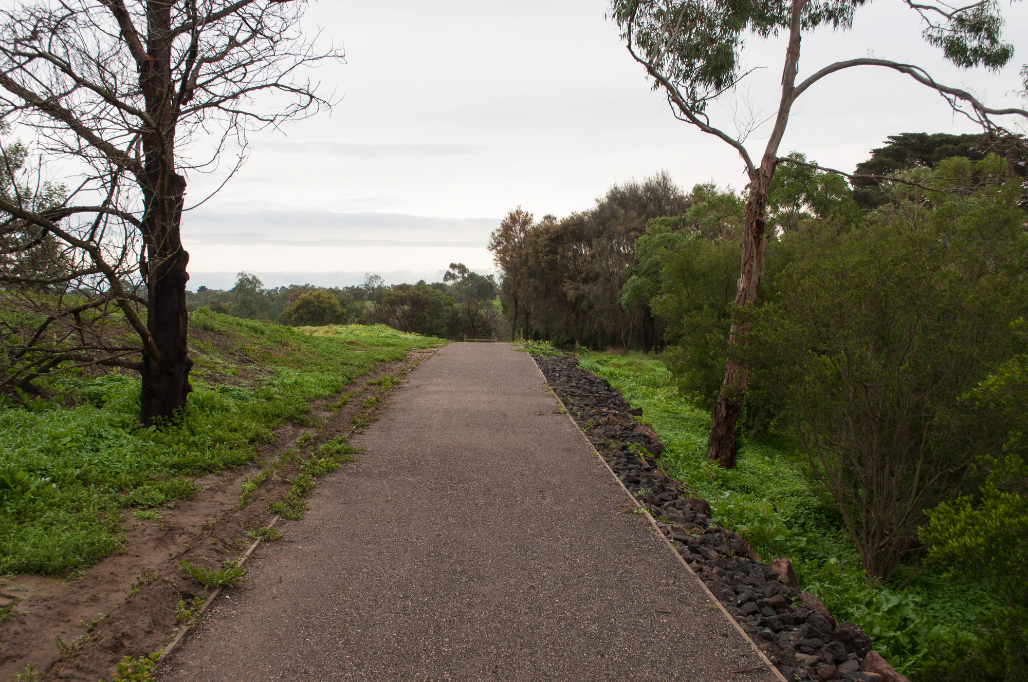 263 — Скачать