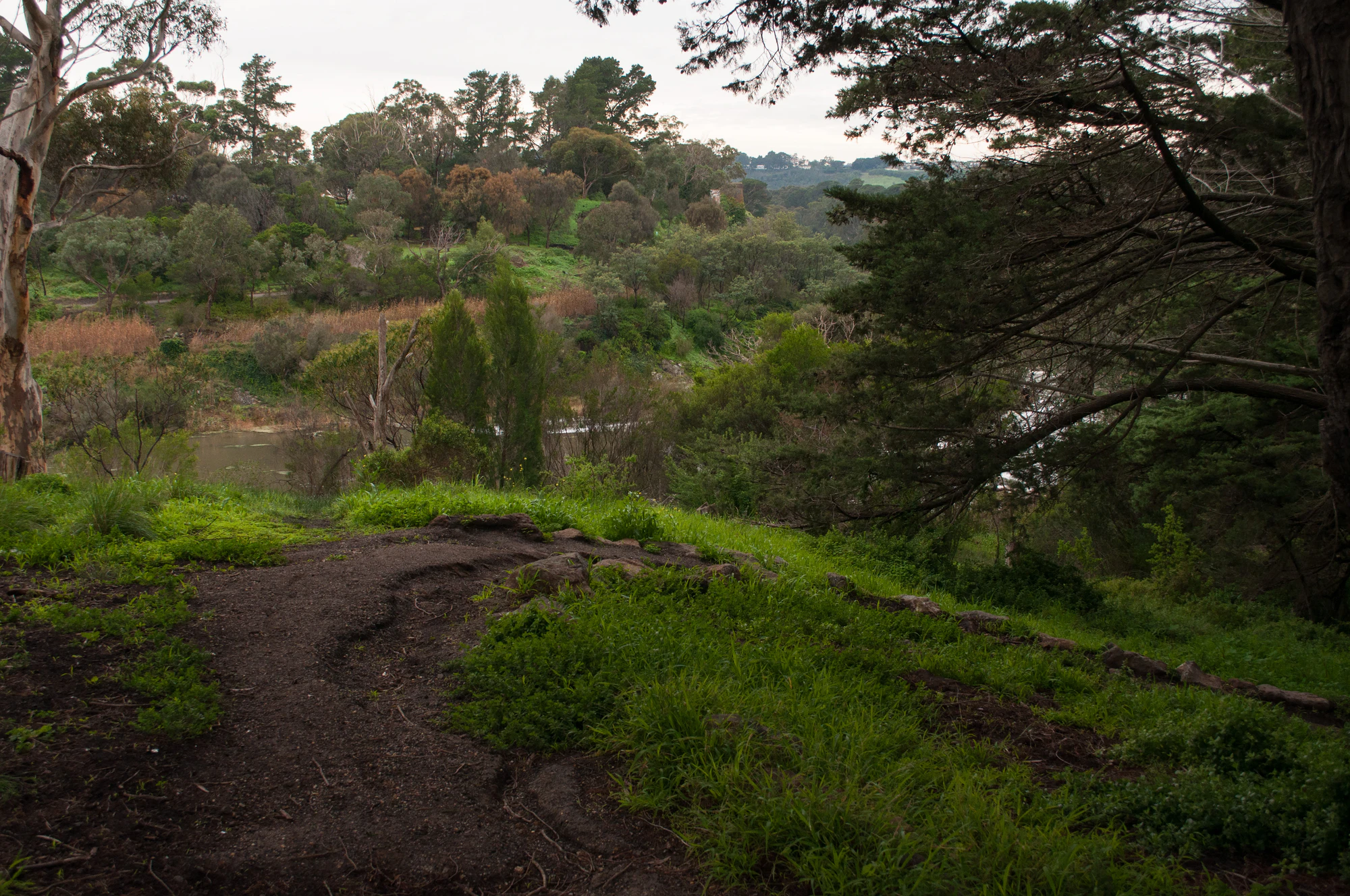 265 — Скачать