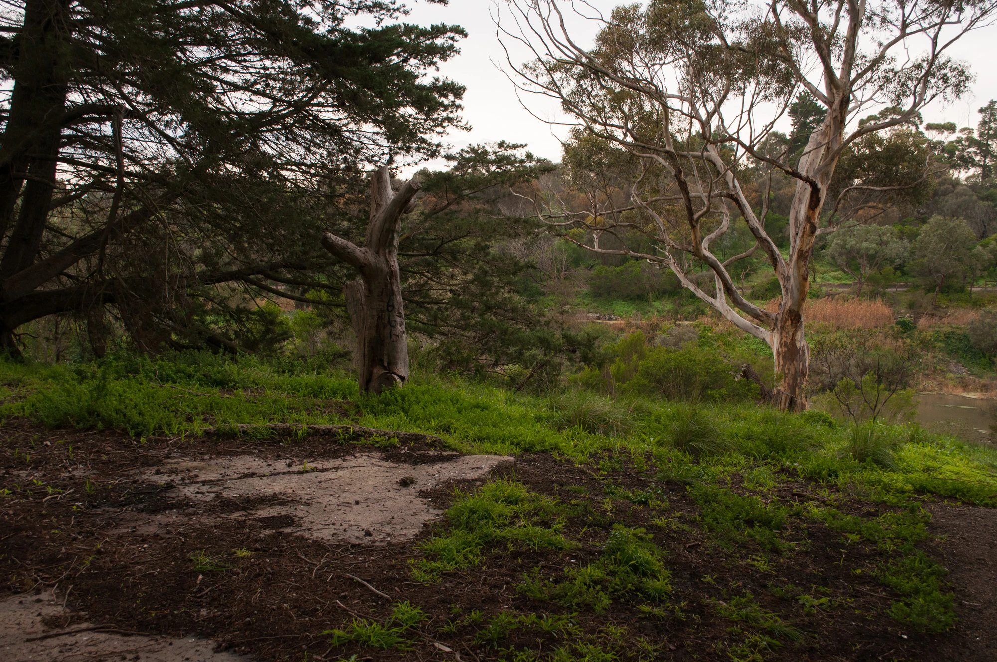 266 — Скачать