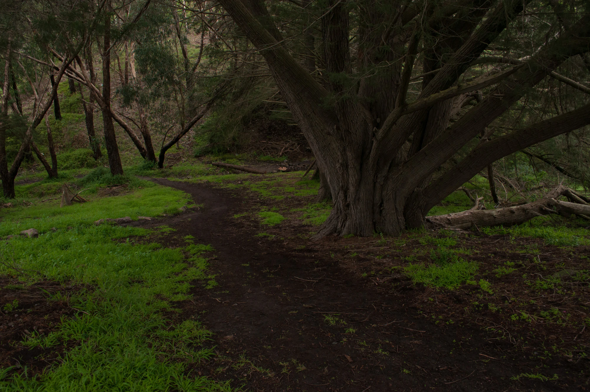 269 — Скачать