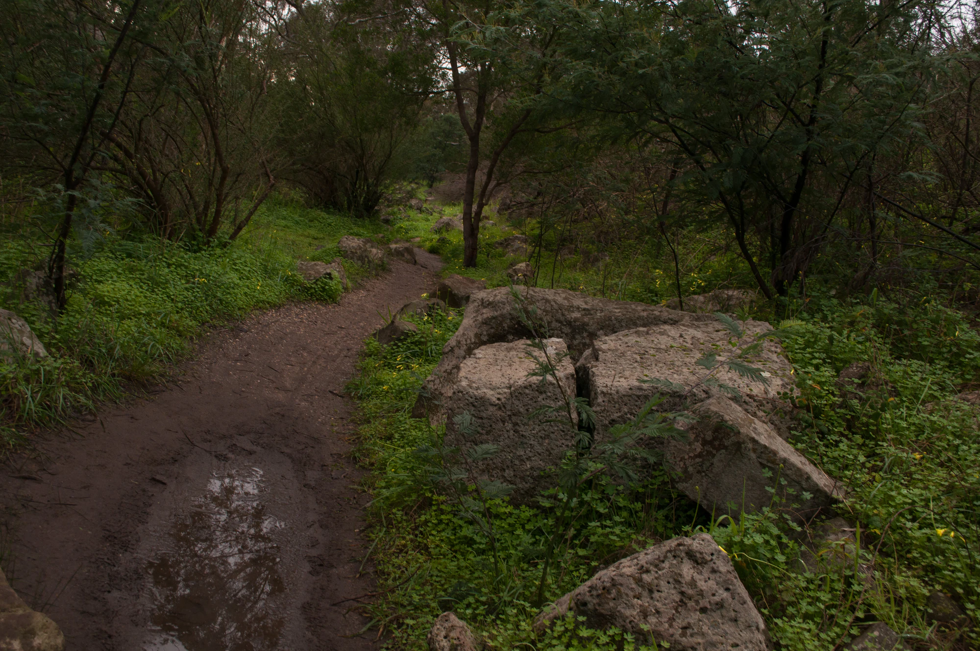 272 — Скачать