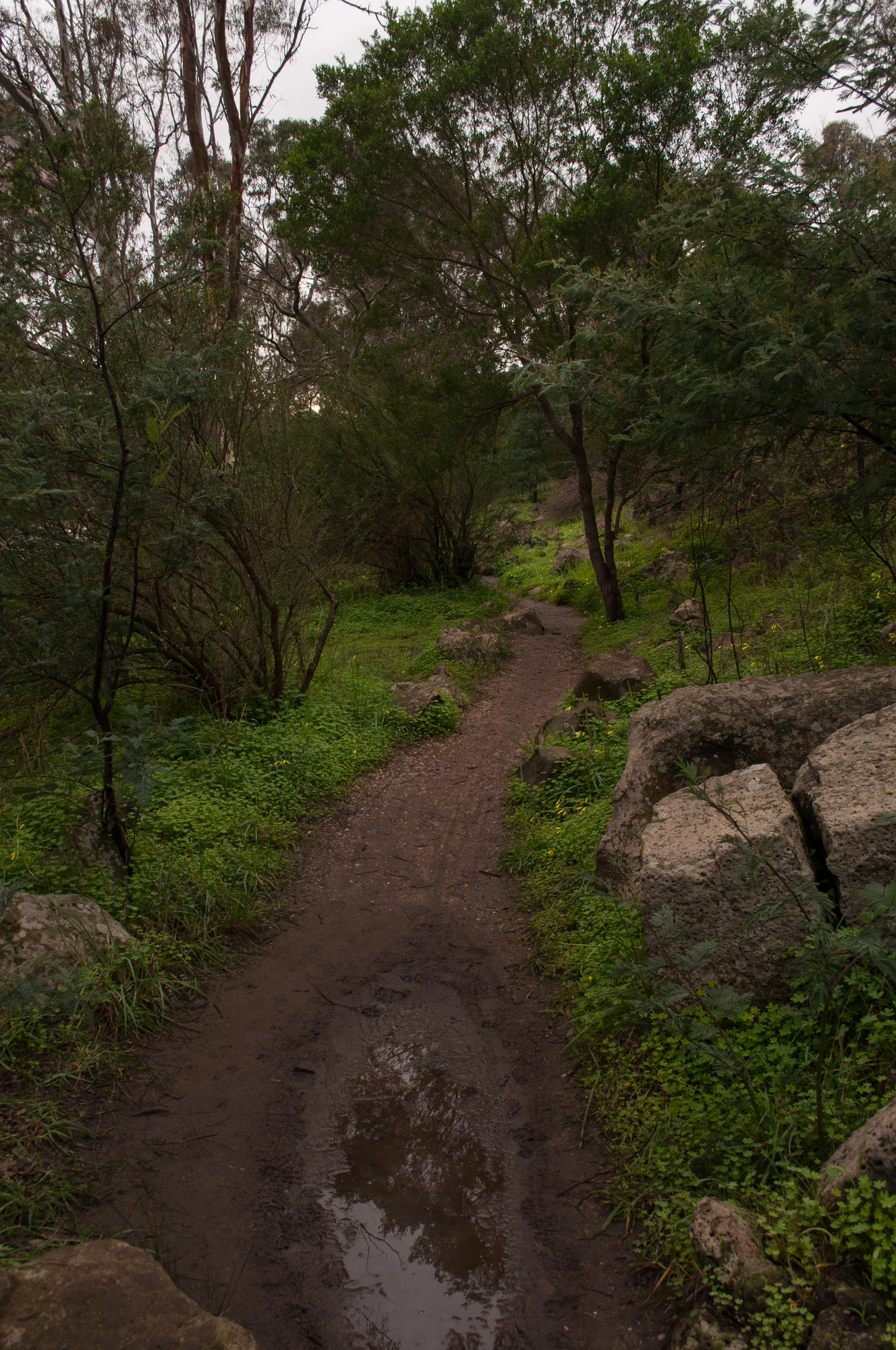 273 — Скачать