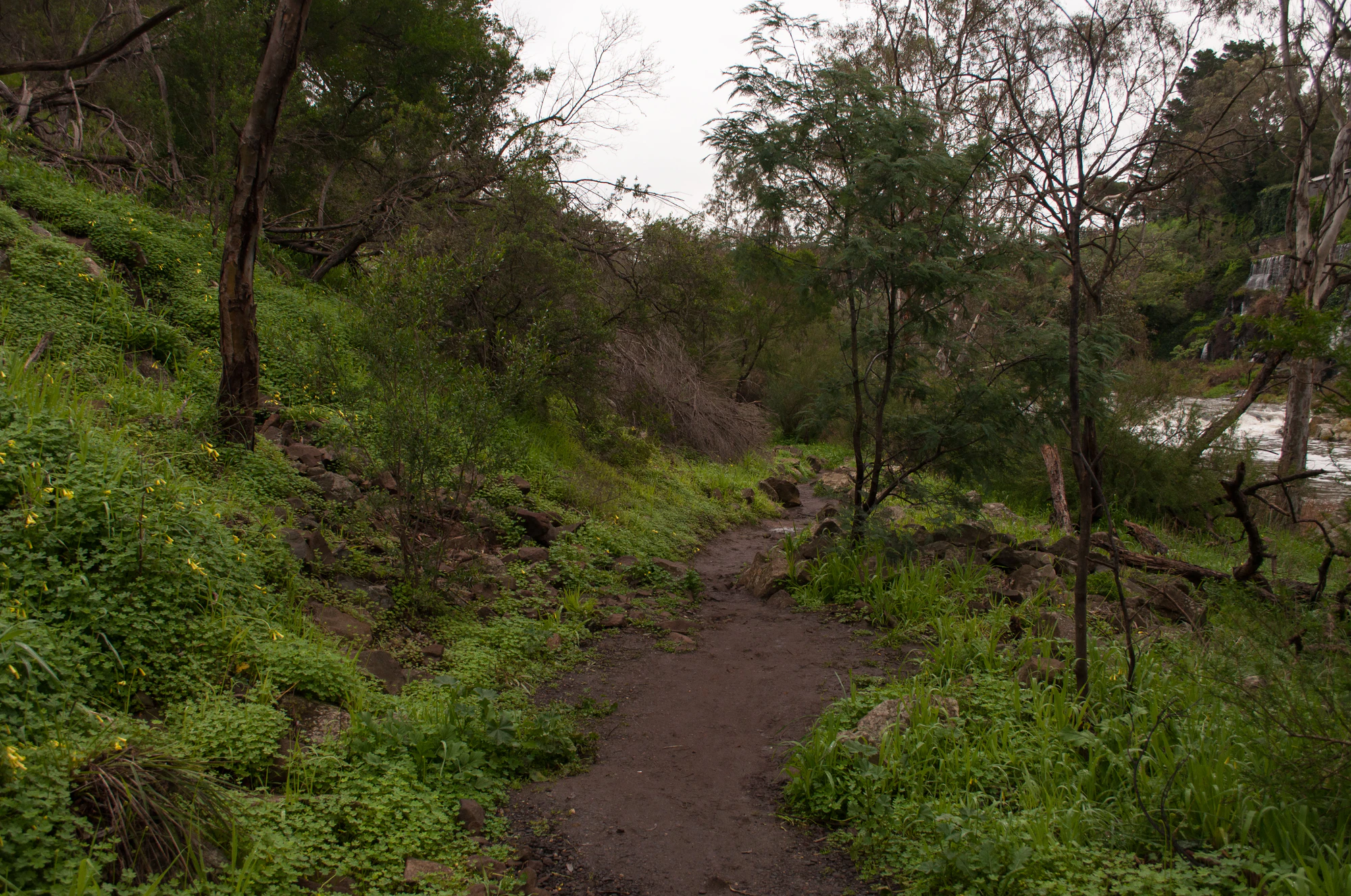 275 — Скачать