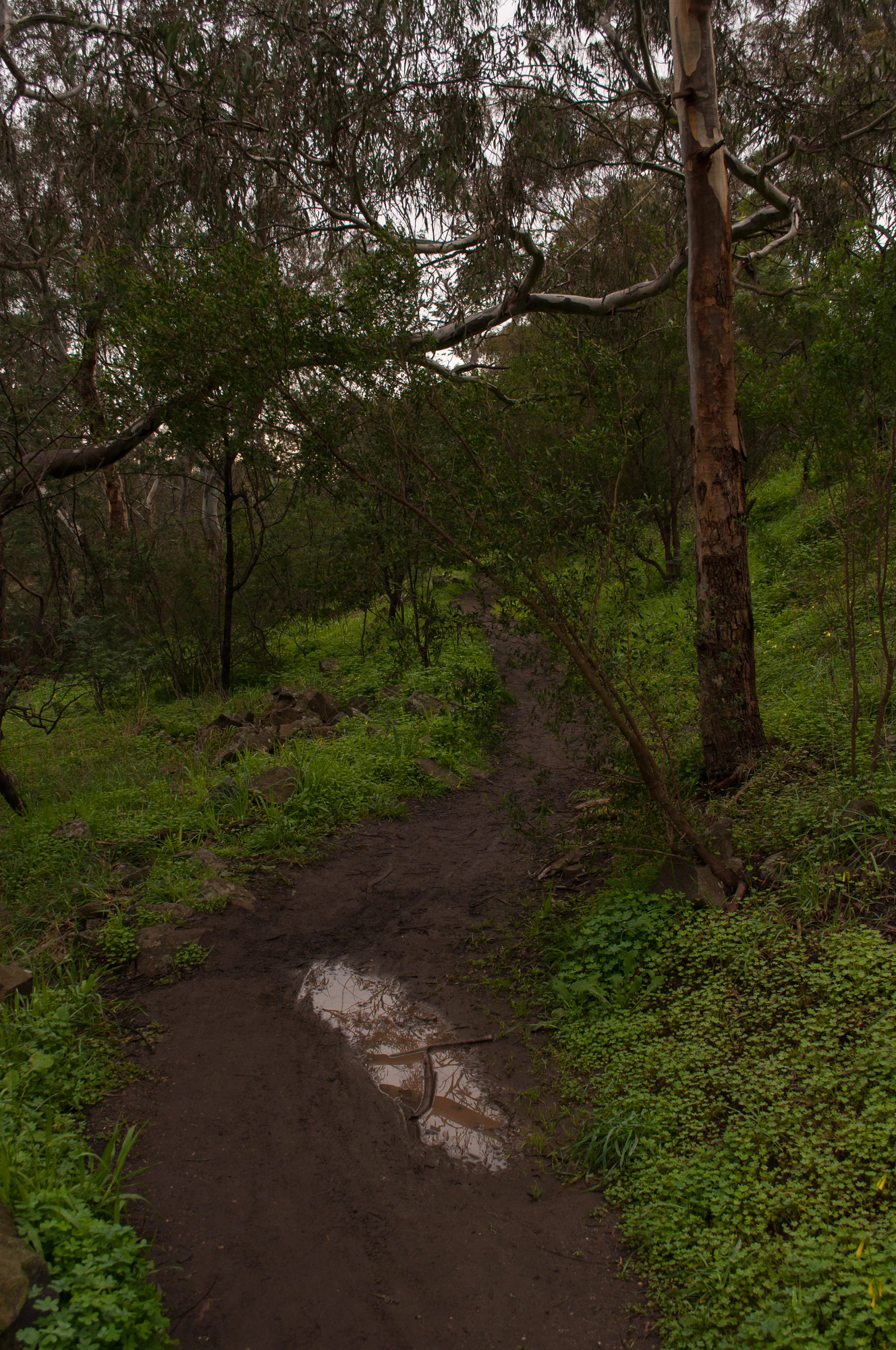 276 — Скачать