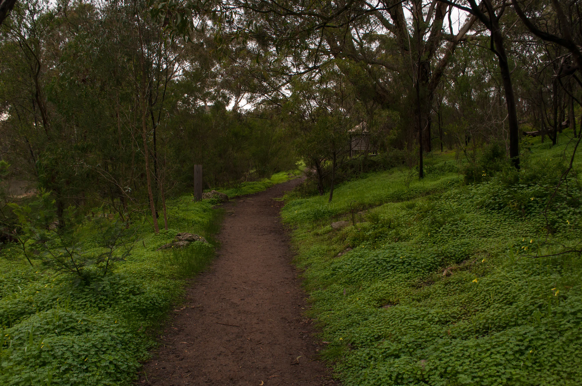 277 — Скачать