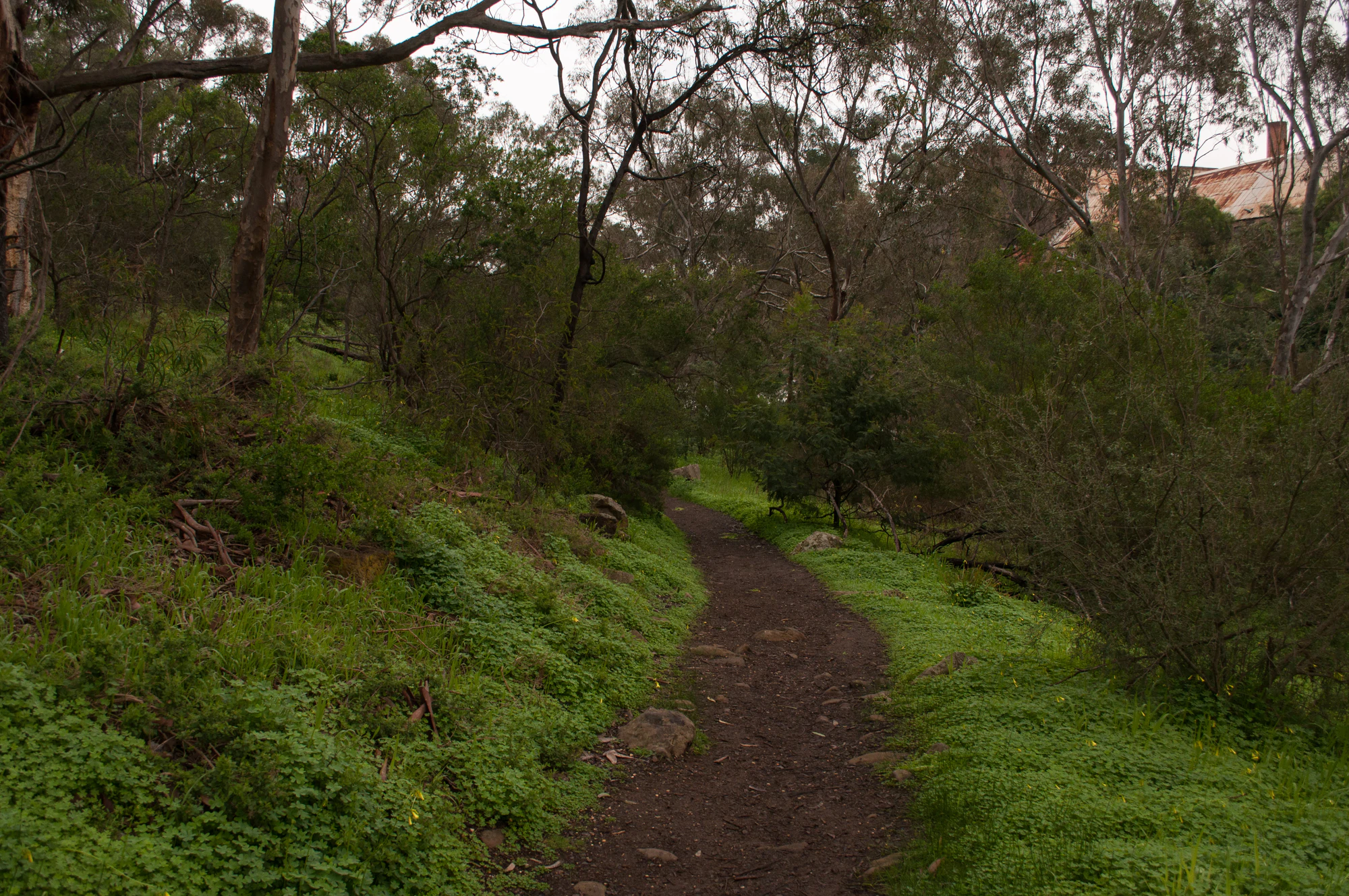 278 — Скачать