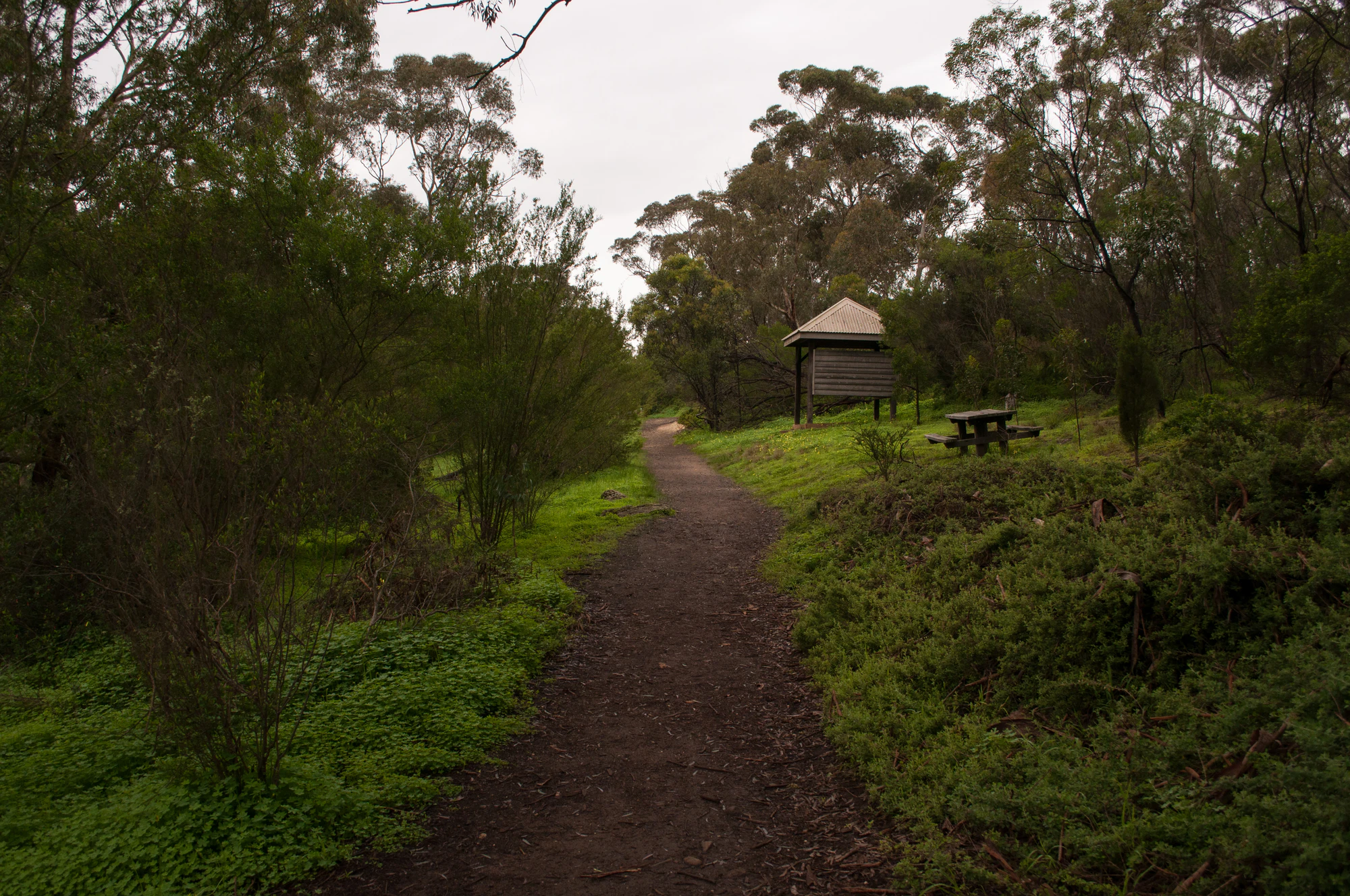 279 — Скачать