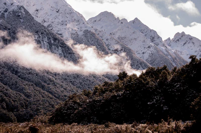 198 — Скачать