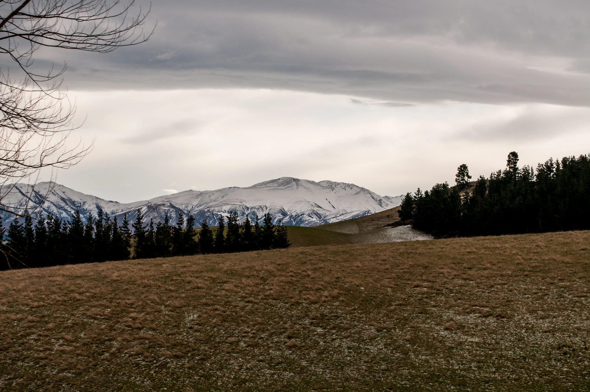 354 — Скачать