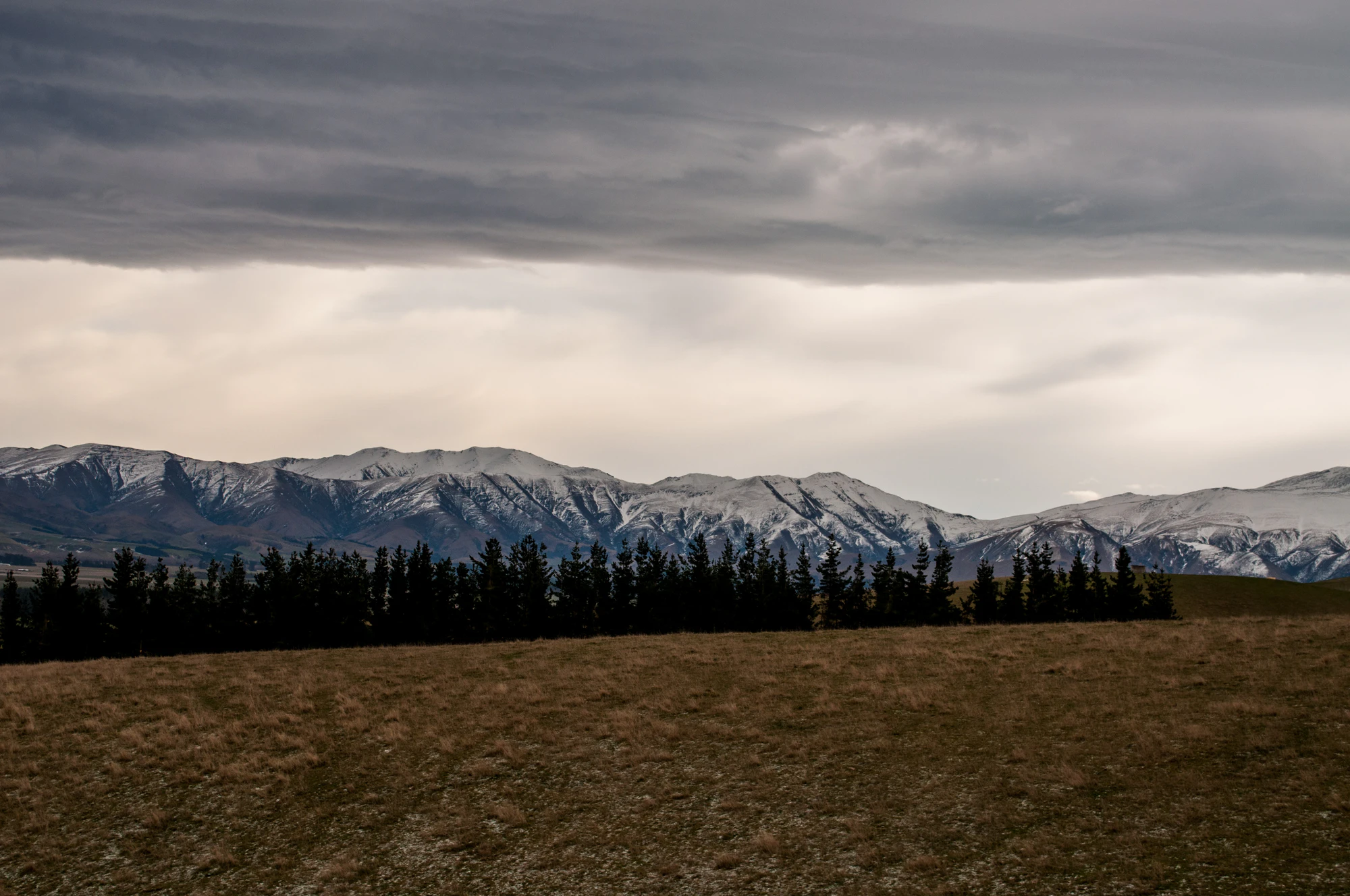 355 — Скачать