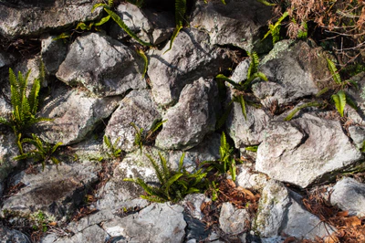 015 — Скачать