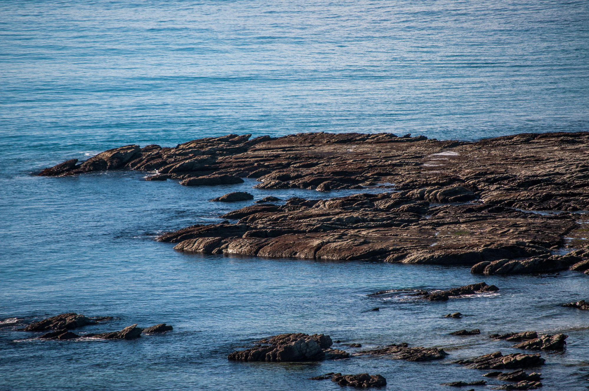 548 — Скачать