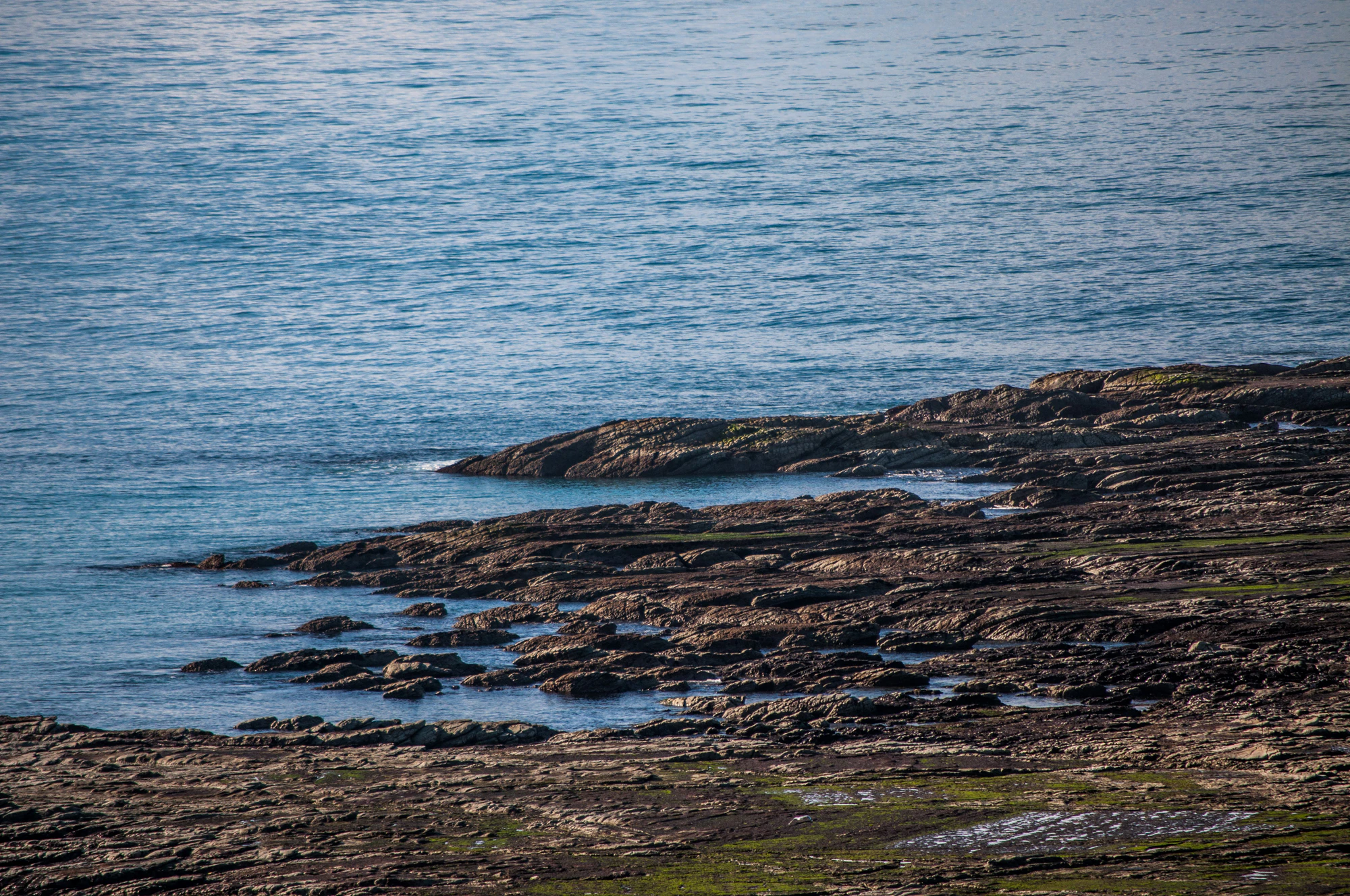 549 — Скачать