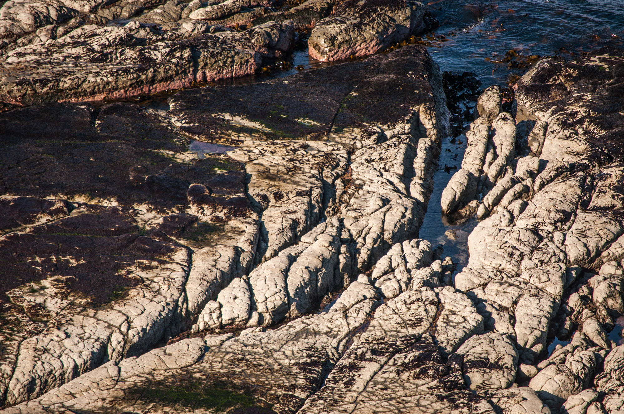 554 — Скачать