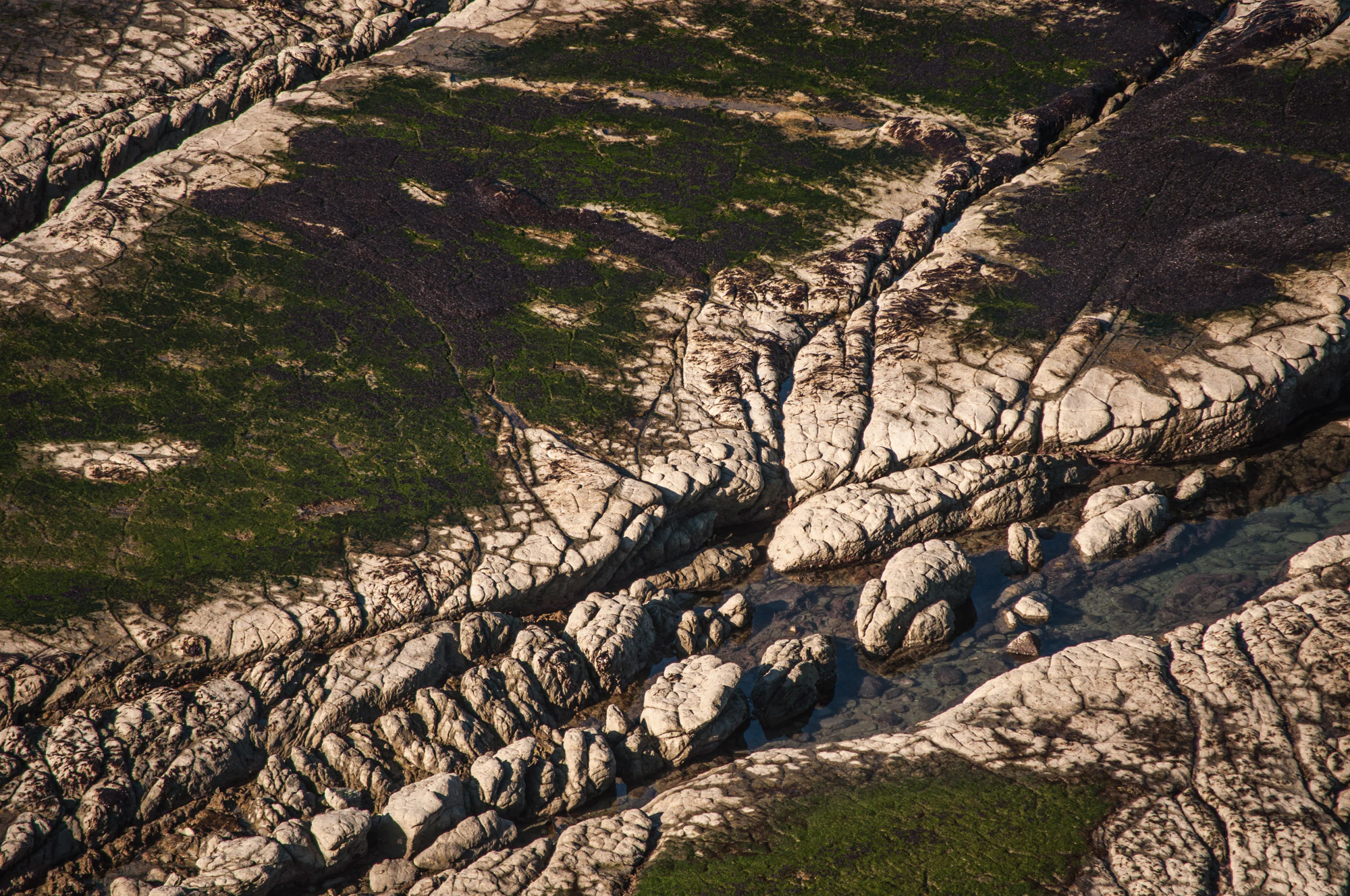 555 — Скачать