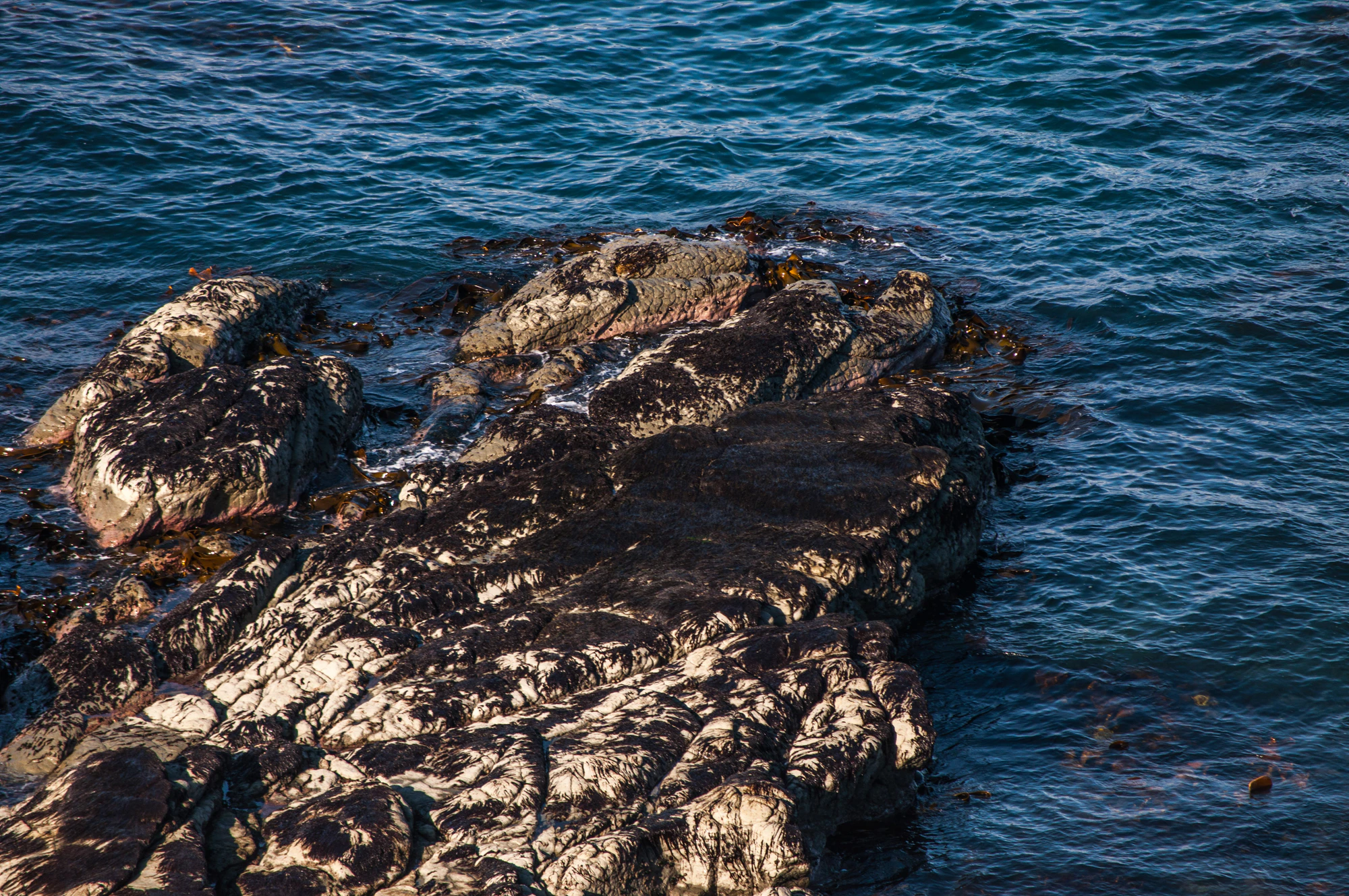 564 — Скачать