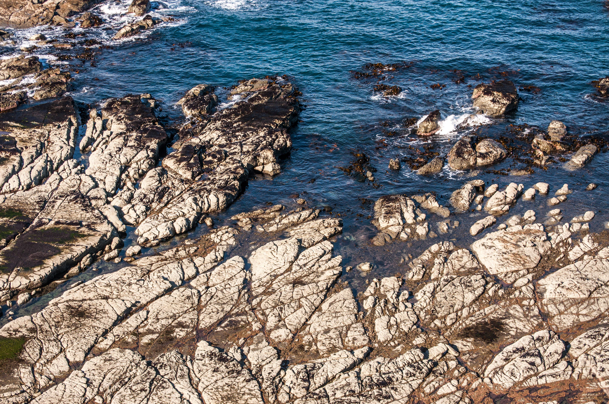 568 — Скачать