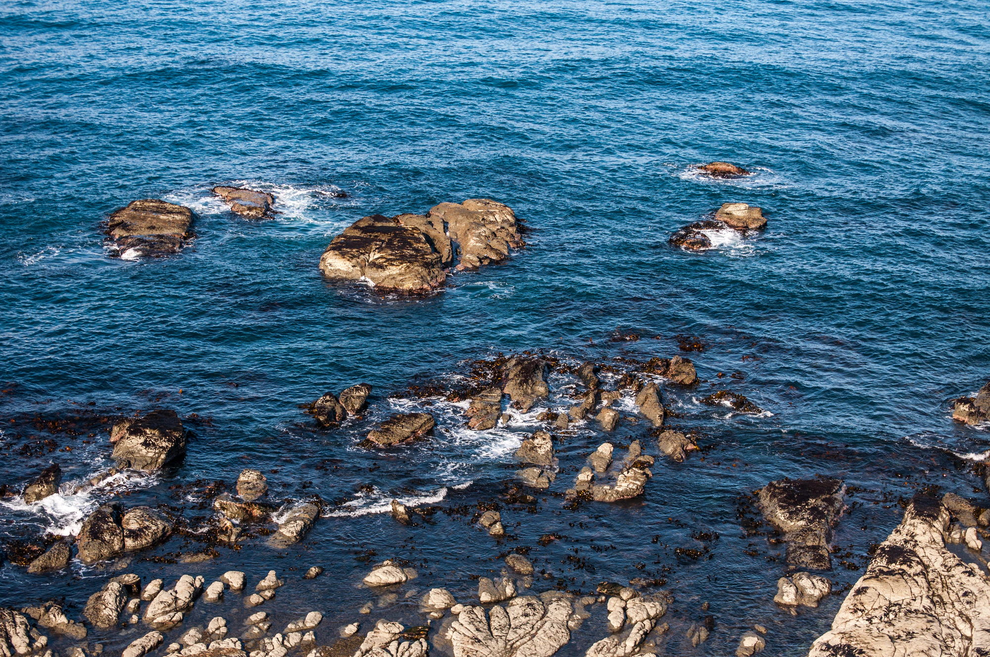 569 — Скачать