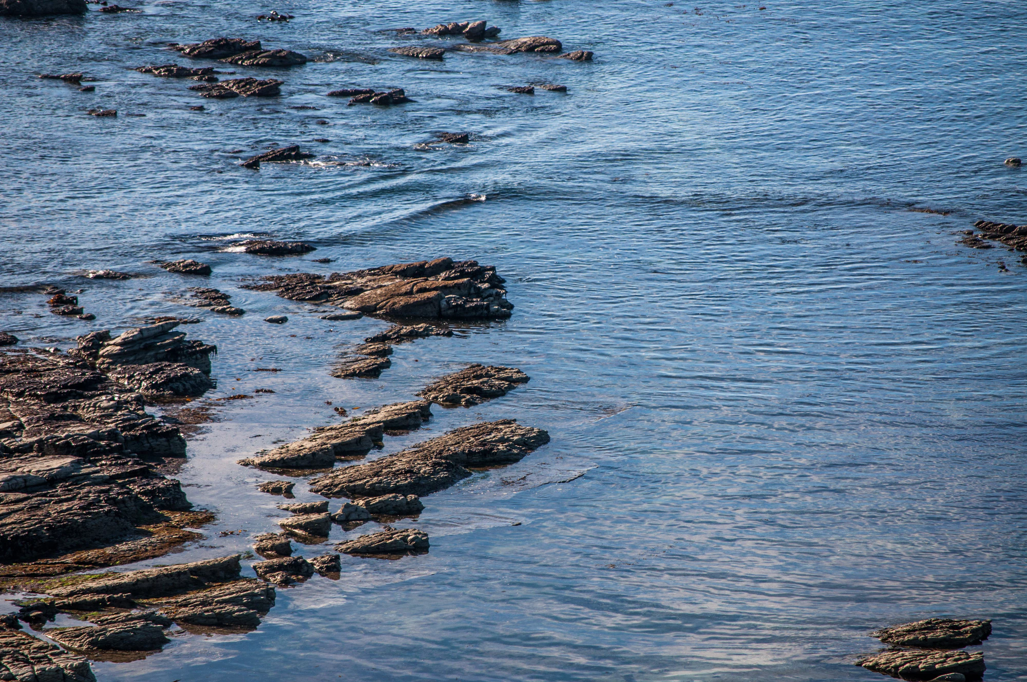 572 — Скачать