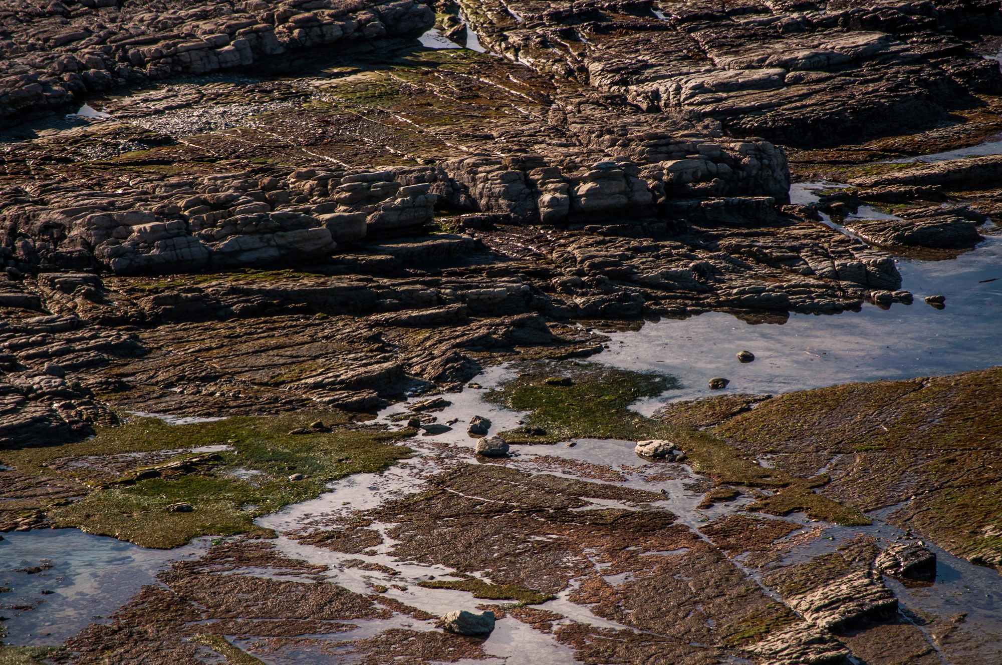 574 — Скачать