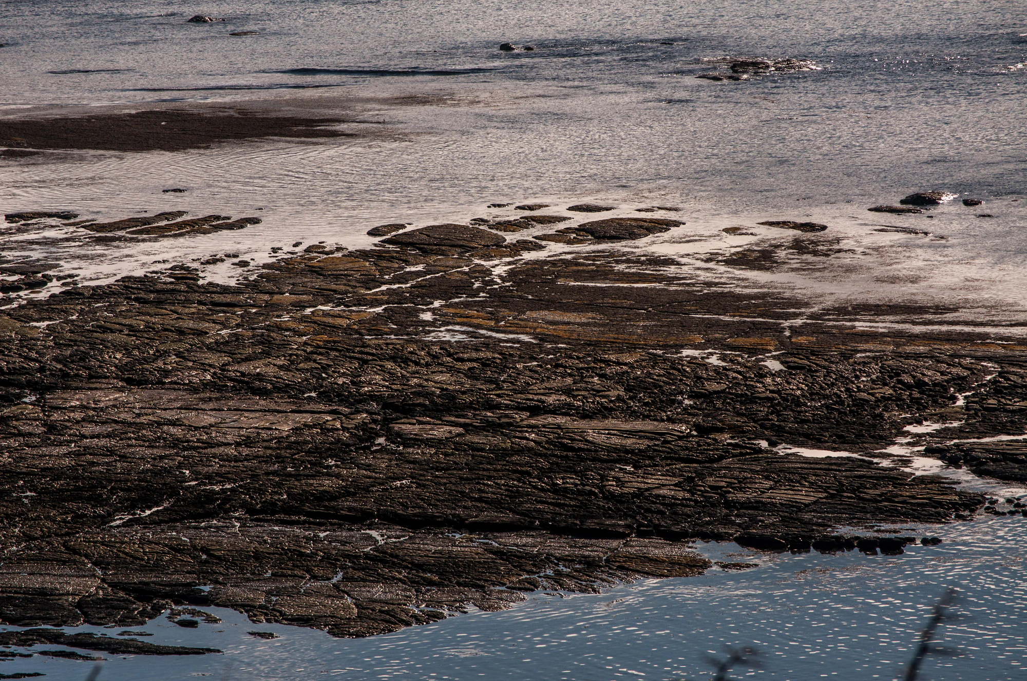 576 — Скачать